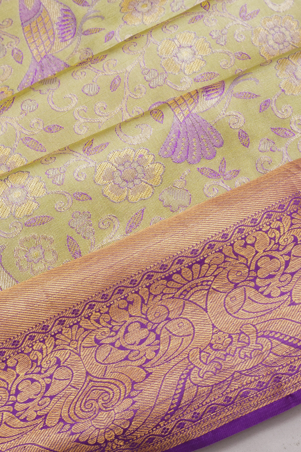 Taranga Kanchi Silk Tissue Pastel Green Saree