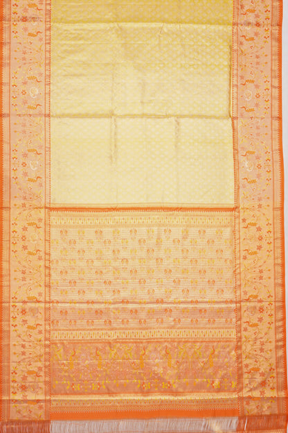 Taranga Kanchi Silk Tissue Brocade Gold Saree