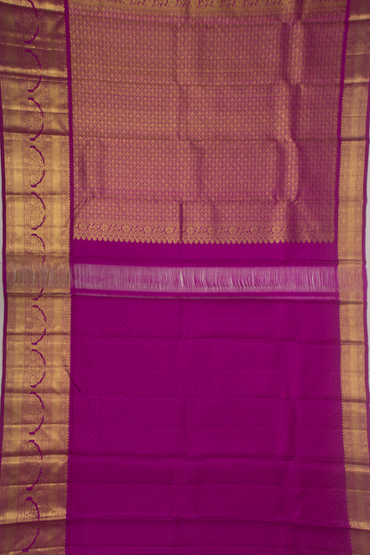 Taranga Kanchi Silk Tissue Sea Green Saree