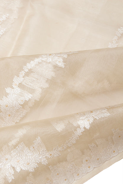 Banarasi Kora Organza Kadwa Jaal Off White Saree