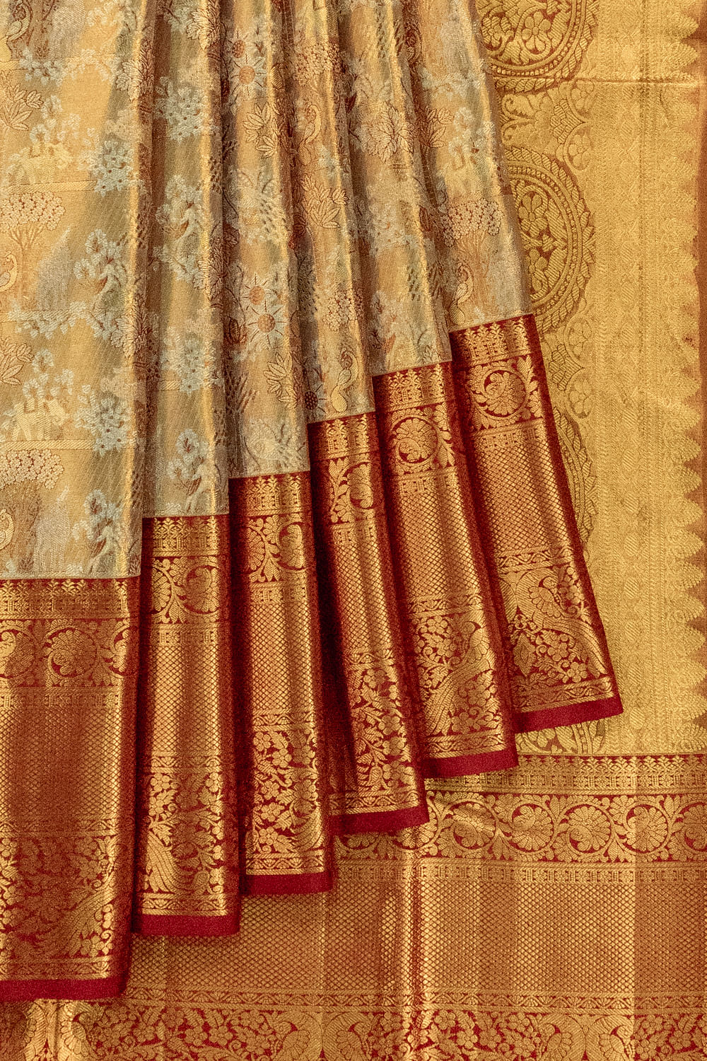 Taranga Kanchi Silk Tissue Brocade Gold Saree