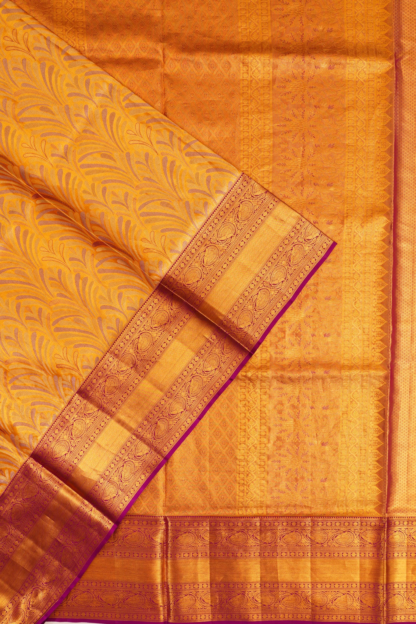 Taranga Kanchi Silk Tissue Brocade Gold Saree