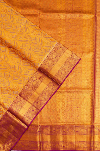 Taranga Kanchi Silk Tissue Brocade Gold Saree