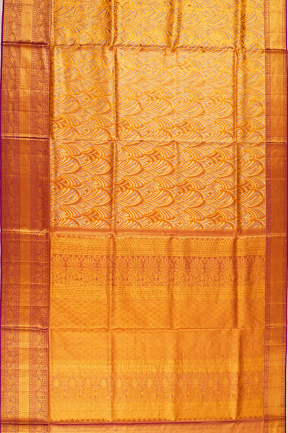 Taranga Kanchi Silk Tissue Brocade Gold Saree