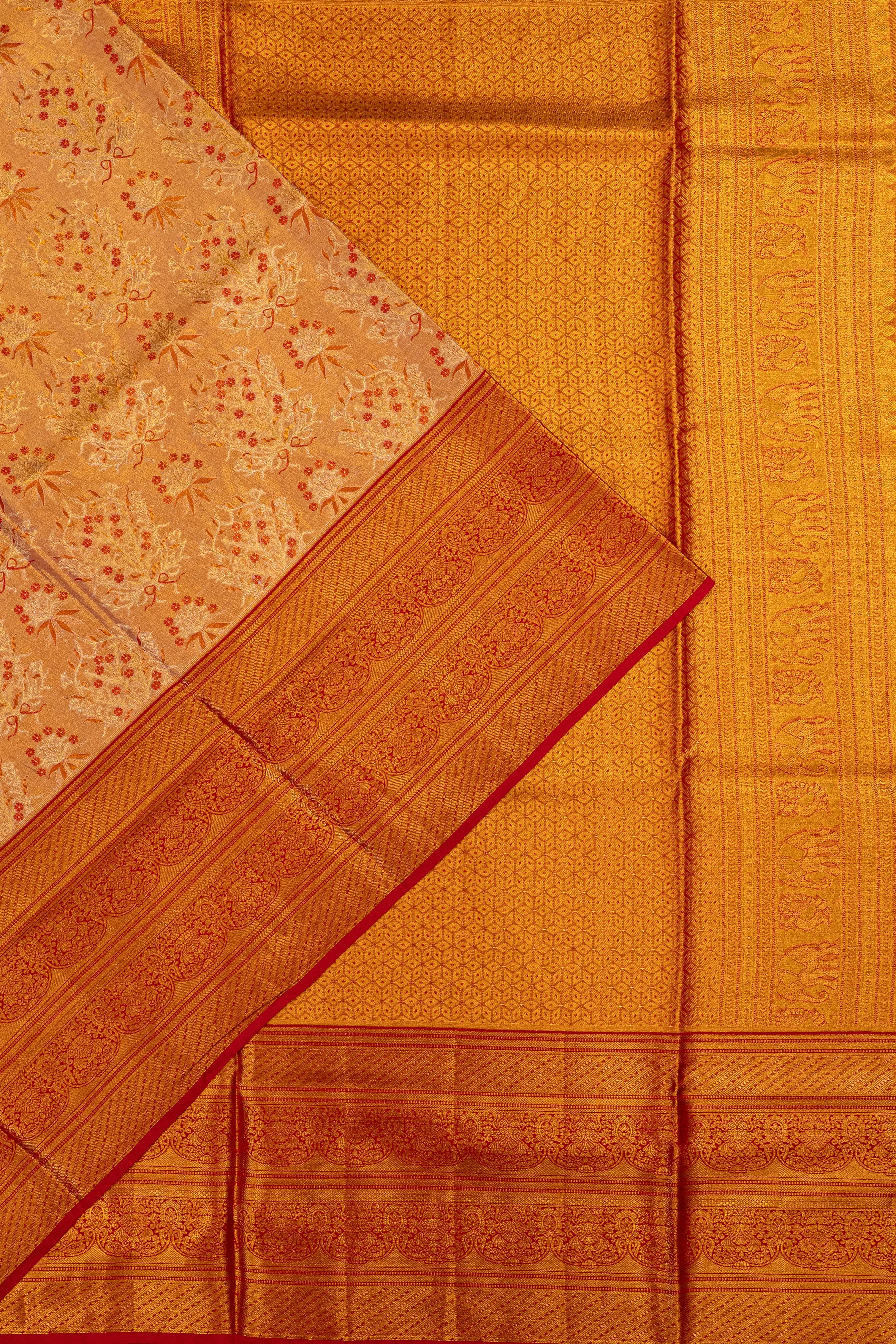 Taranga Kanchi Silk Tissue Brocade Gold Saree