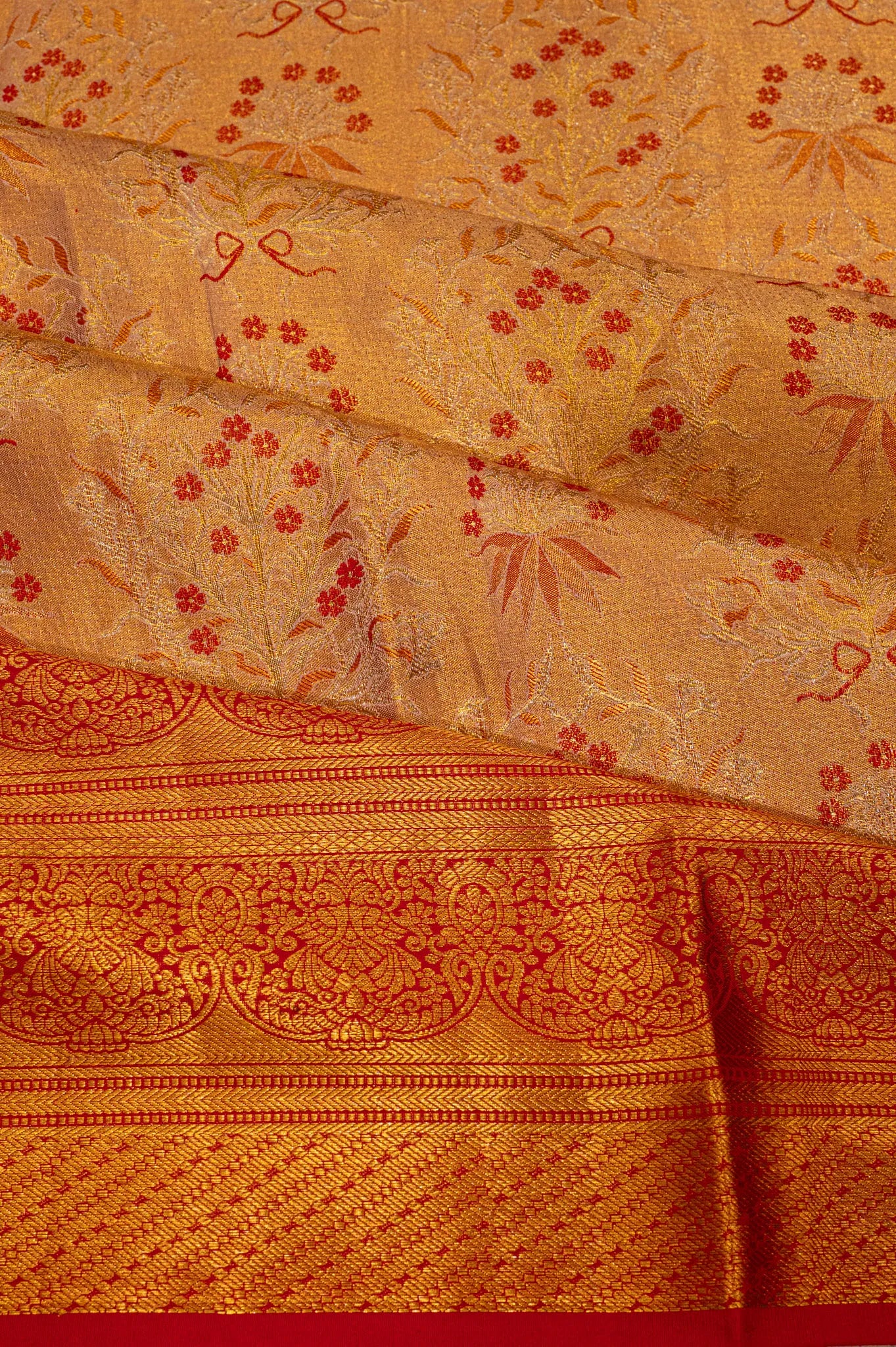 Taranga Kanchi Silk Tissue Brocade Gold Saree