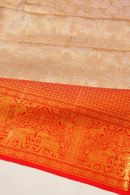 taranga-kanchi-silk-tissue-brocade-gold-saree-1215211536