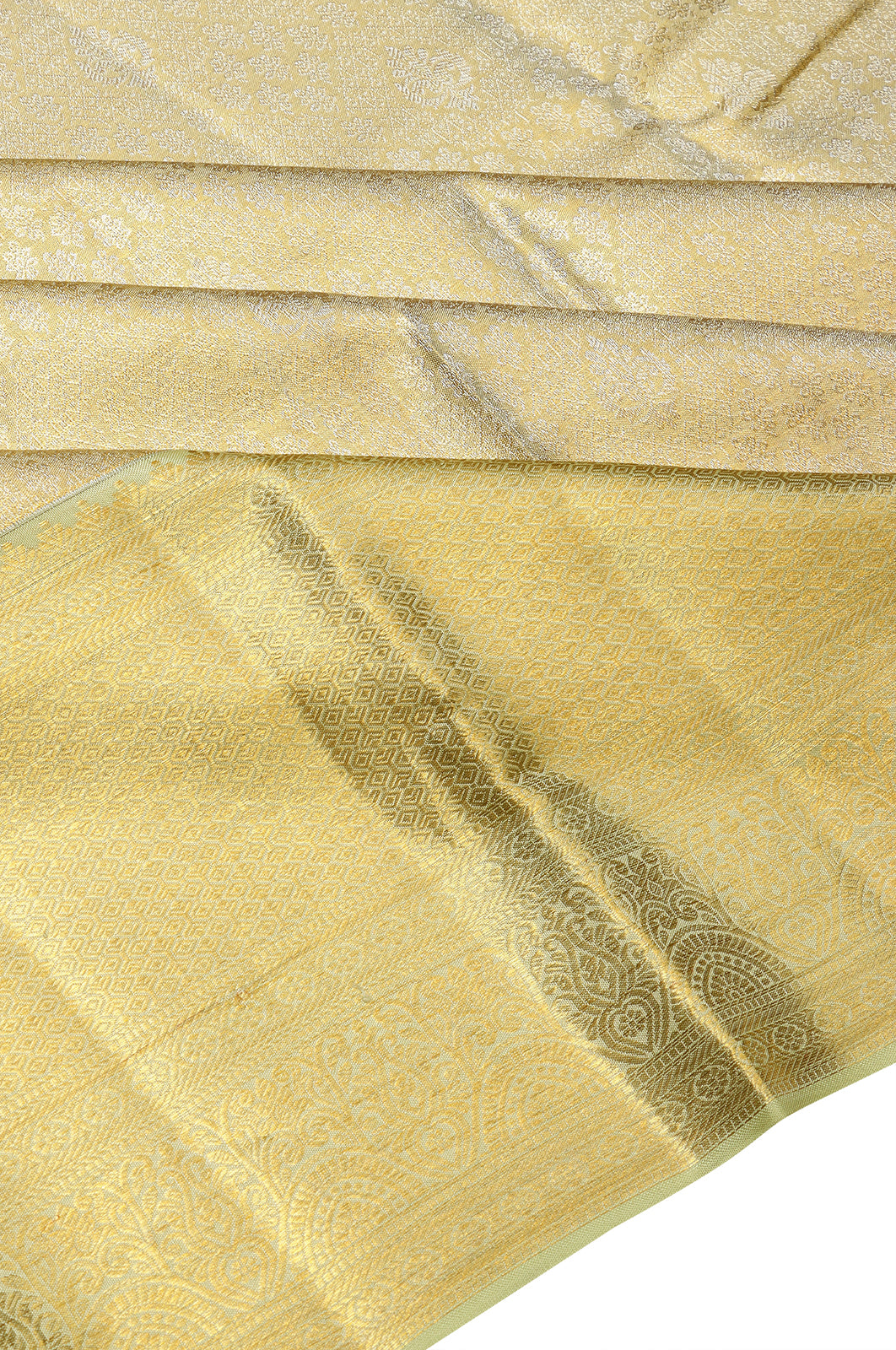 Taranga Kanchi Silk Tissue Brocade Gold Saree