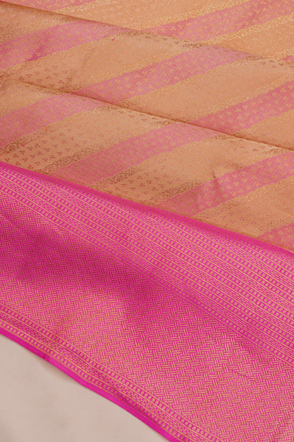 Taranga Kanchi Silk Tissue Brocade Gold Saree