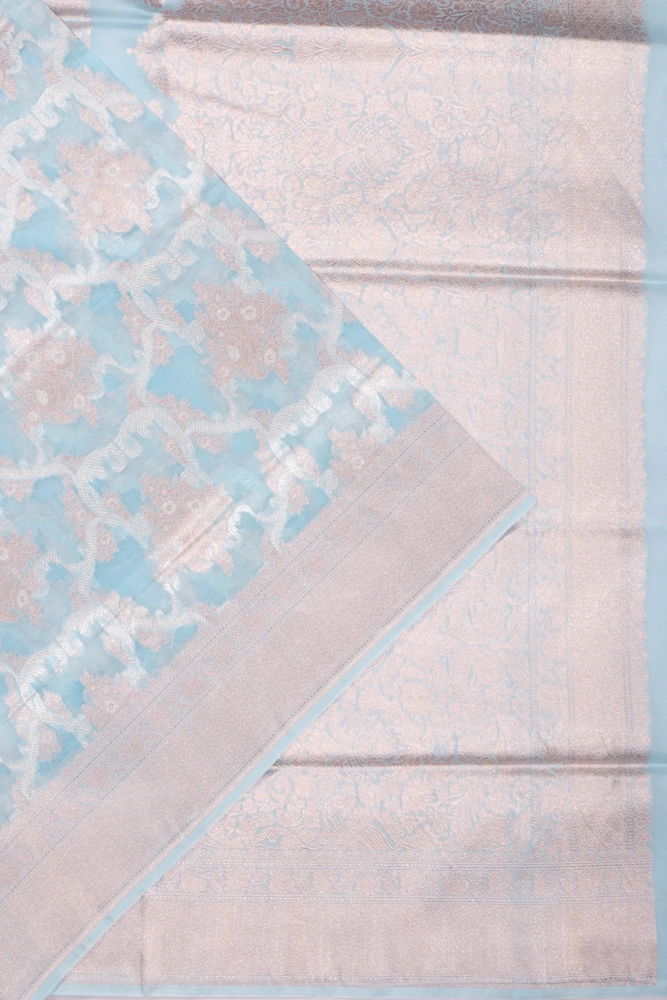 Banarasi Kora Organza Jaal Sky Blue Saree