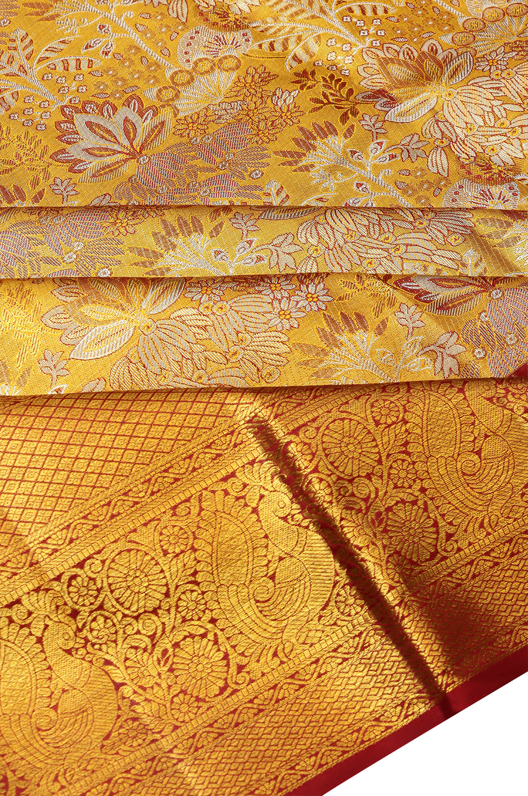 Taranga Kanchi Silk Tissue Brocade Gold Saree