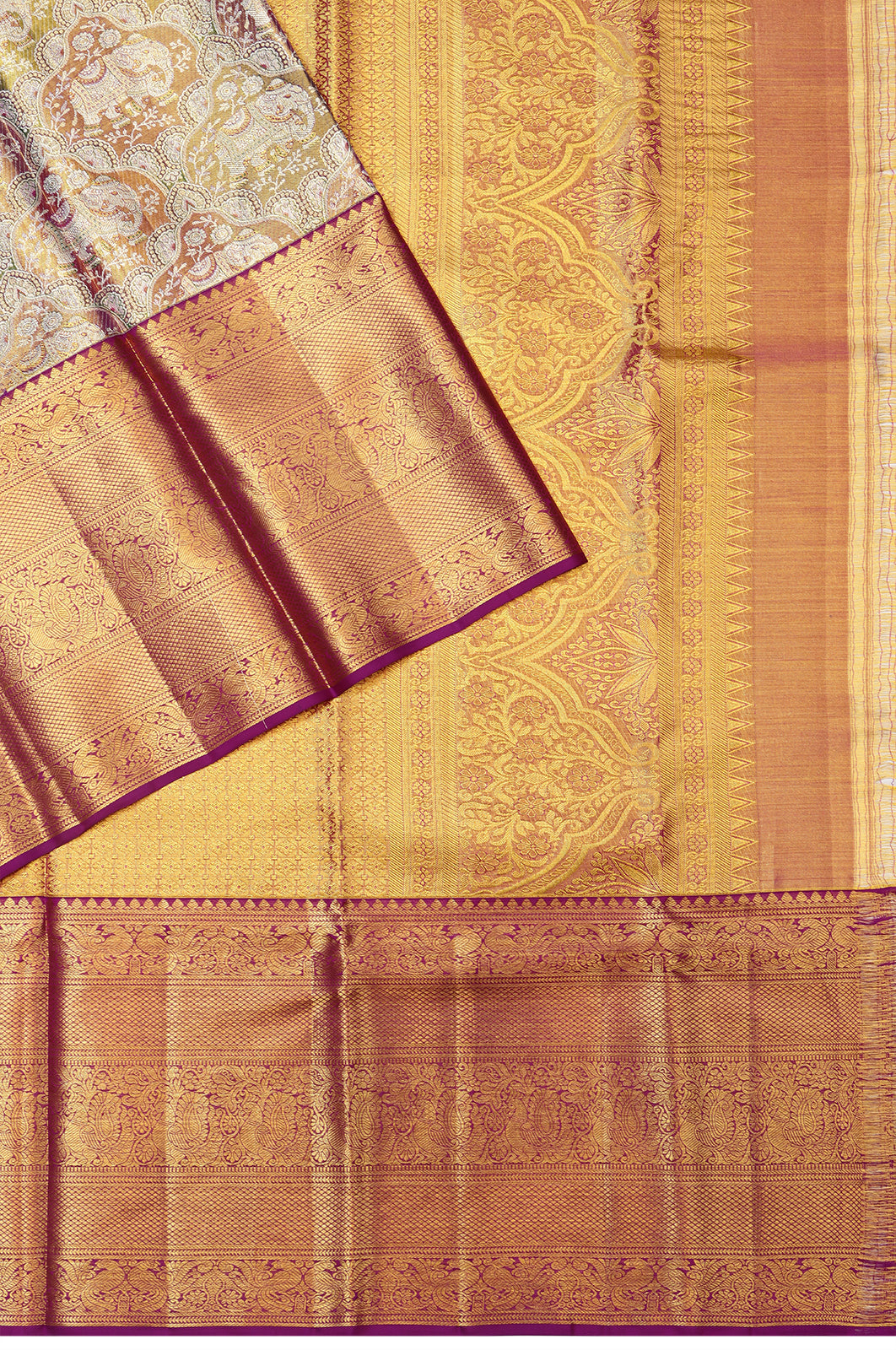 Taranga Kanchi Silk Tissue Brocade Gold Saree