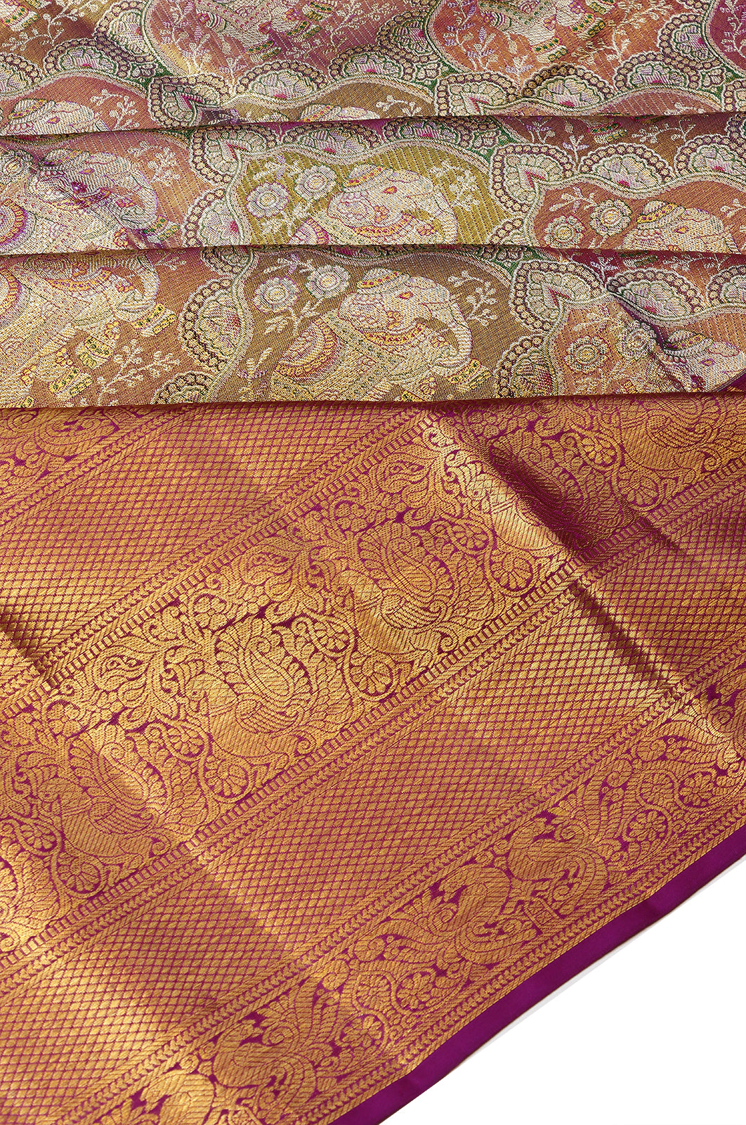 Taranga Kanchi Silk Tissue Brocade Gold Saree