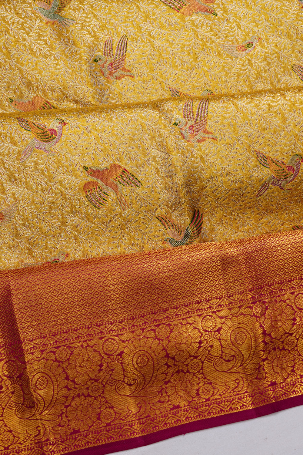 Taranga Kanchi Silk Tissue Brocade Gold Saree