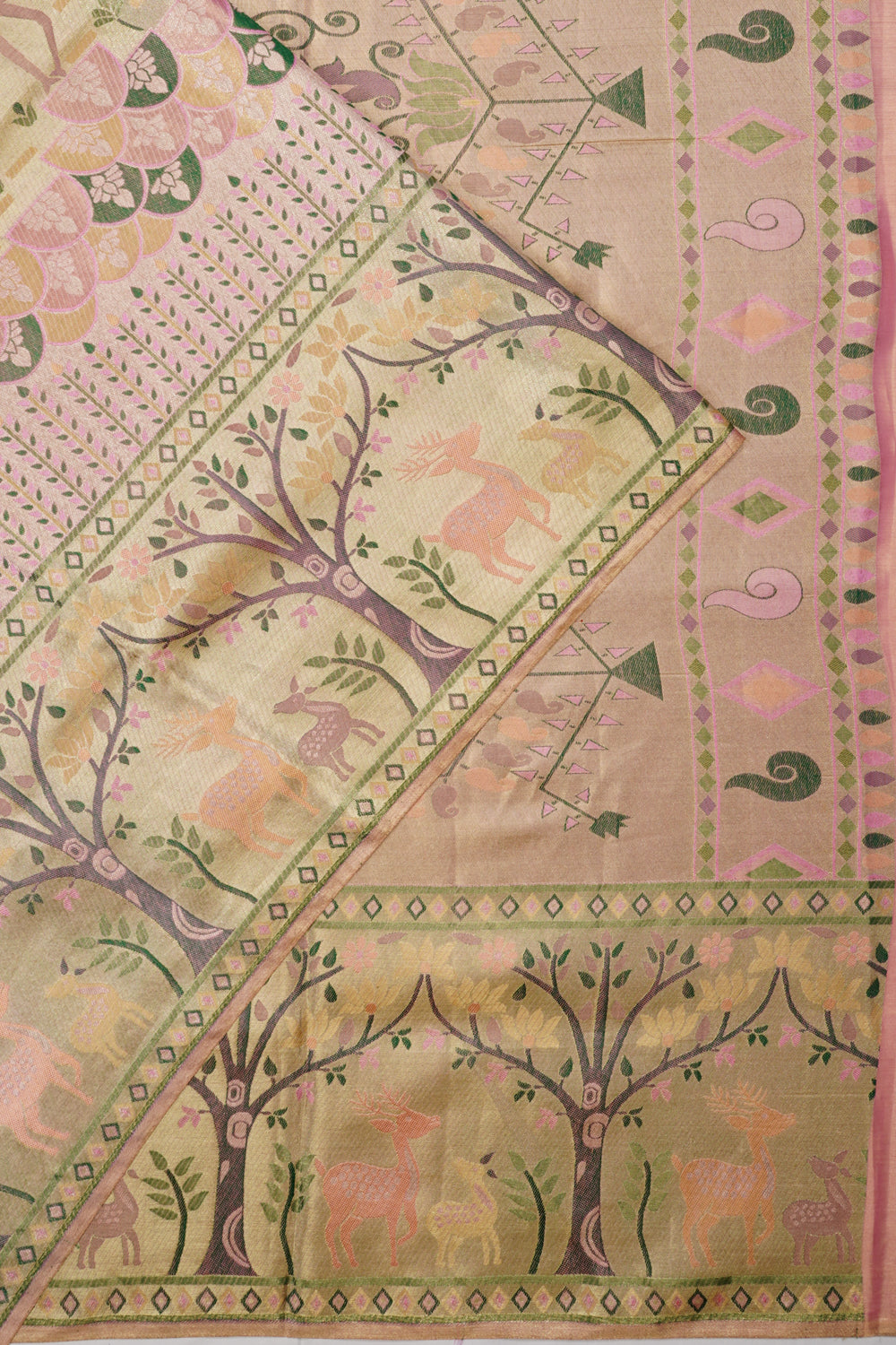 Taranga Kanchi Silk Tissue Brocade Gold Saree