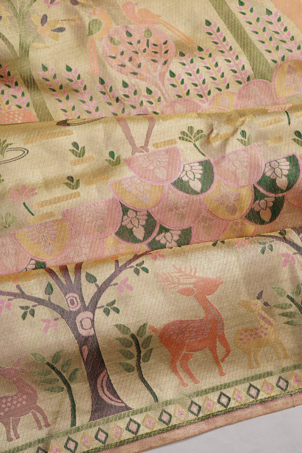 Taranga Kanchi Silk Tissue Brocade Gold Saree