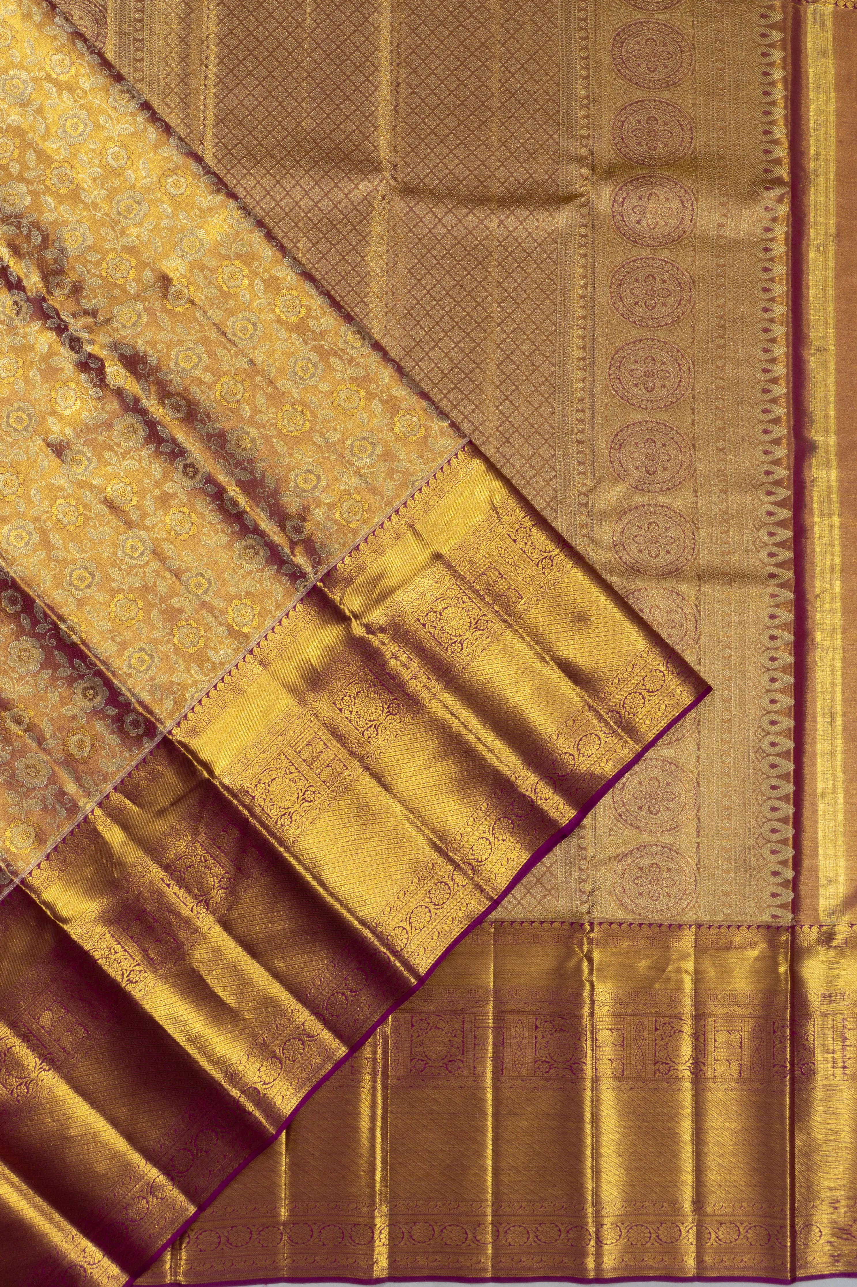 Taranga Kanchi Silk Tissue Broacde Gold Saree
