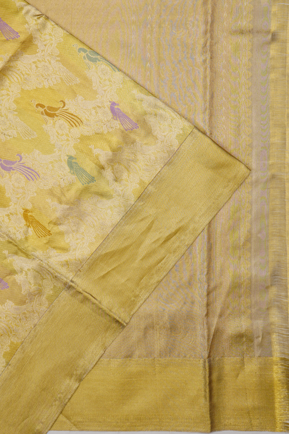 Taranga Kanchi Silk Tissue Brocade Gold Saree
