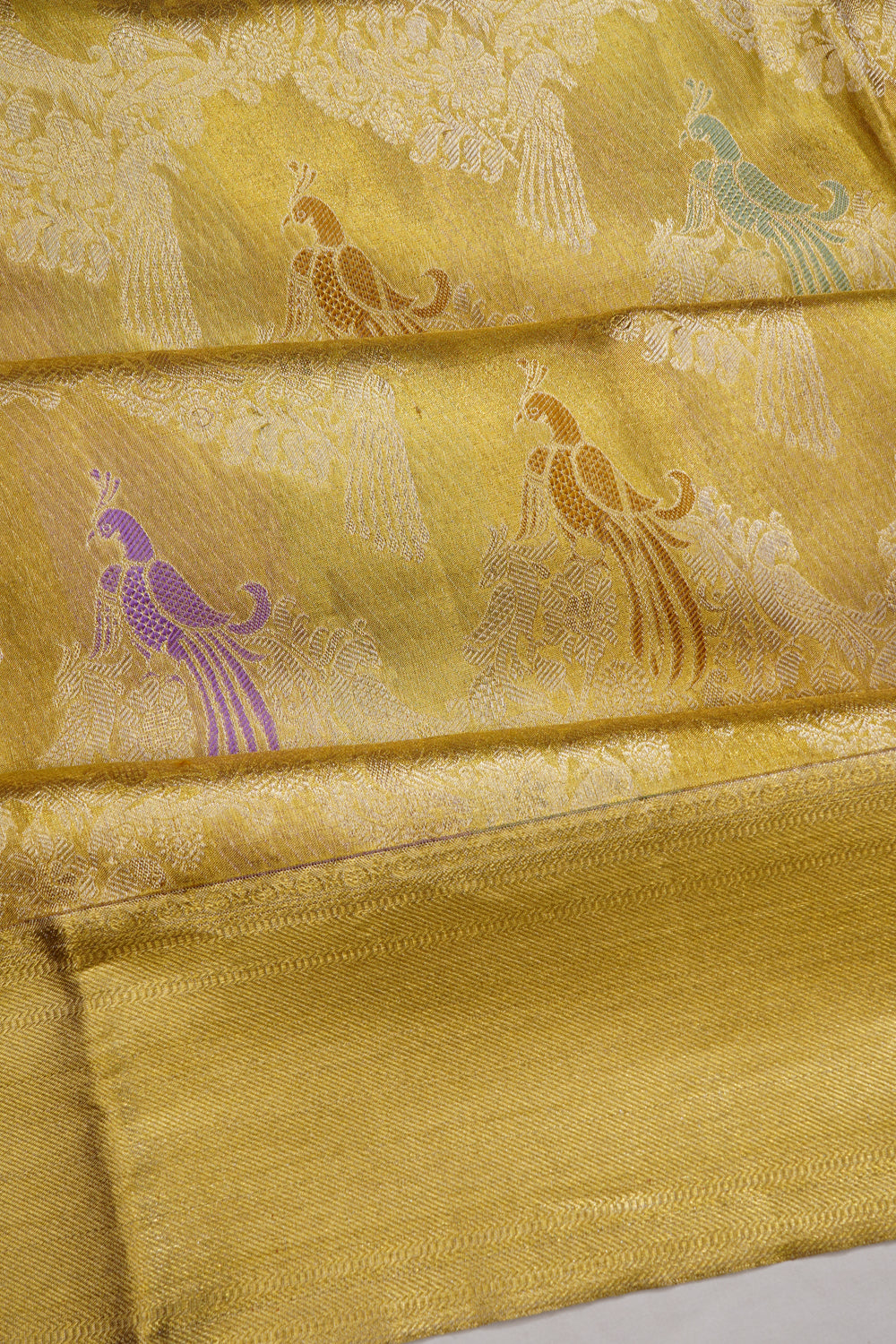 Taranga Kanchi Silk Tissue Brocade Gold Saree