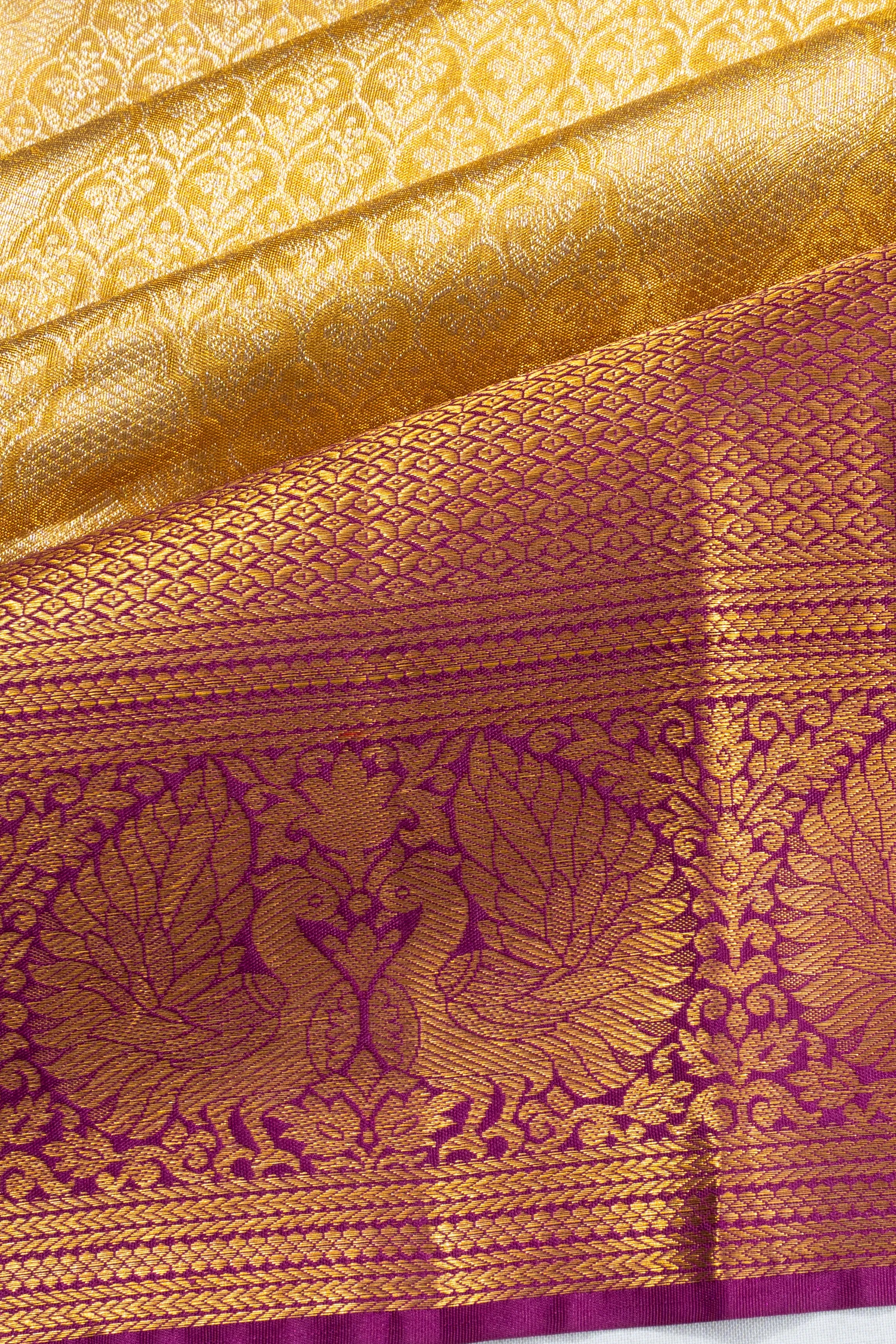 Taranga Kanchi Silk Tissue Brocade Gold Saree