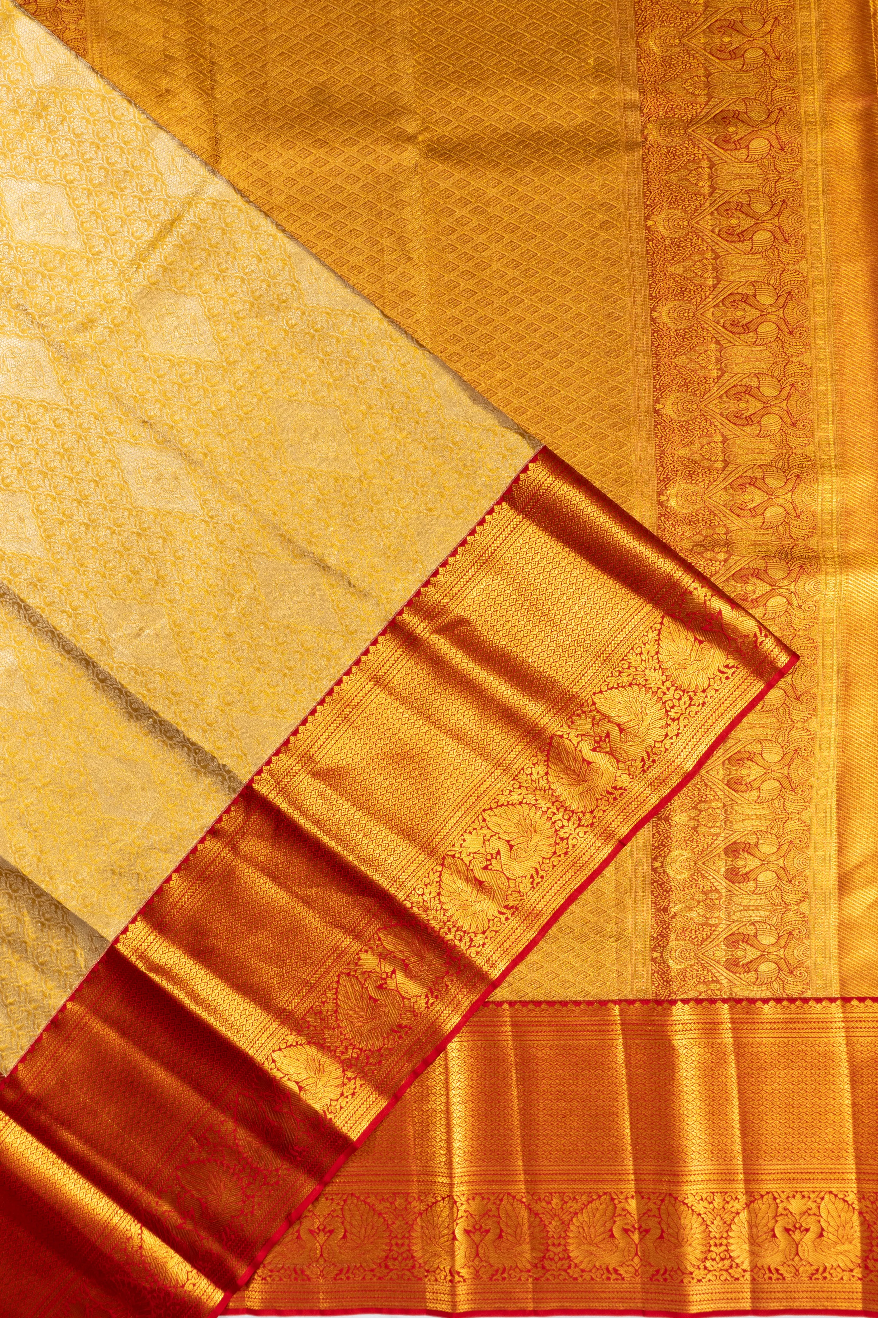 Taranga Kanchi Silk Tissue Brocade Gold Saree