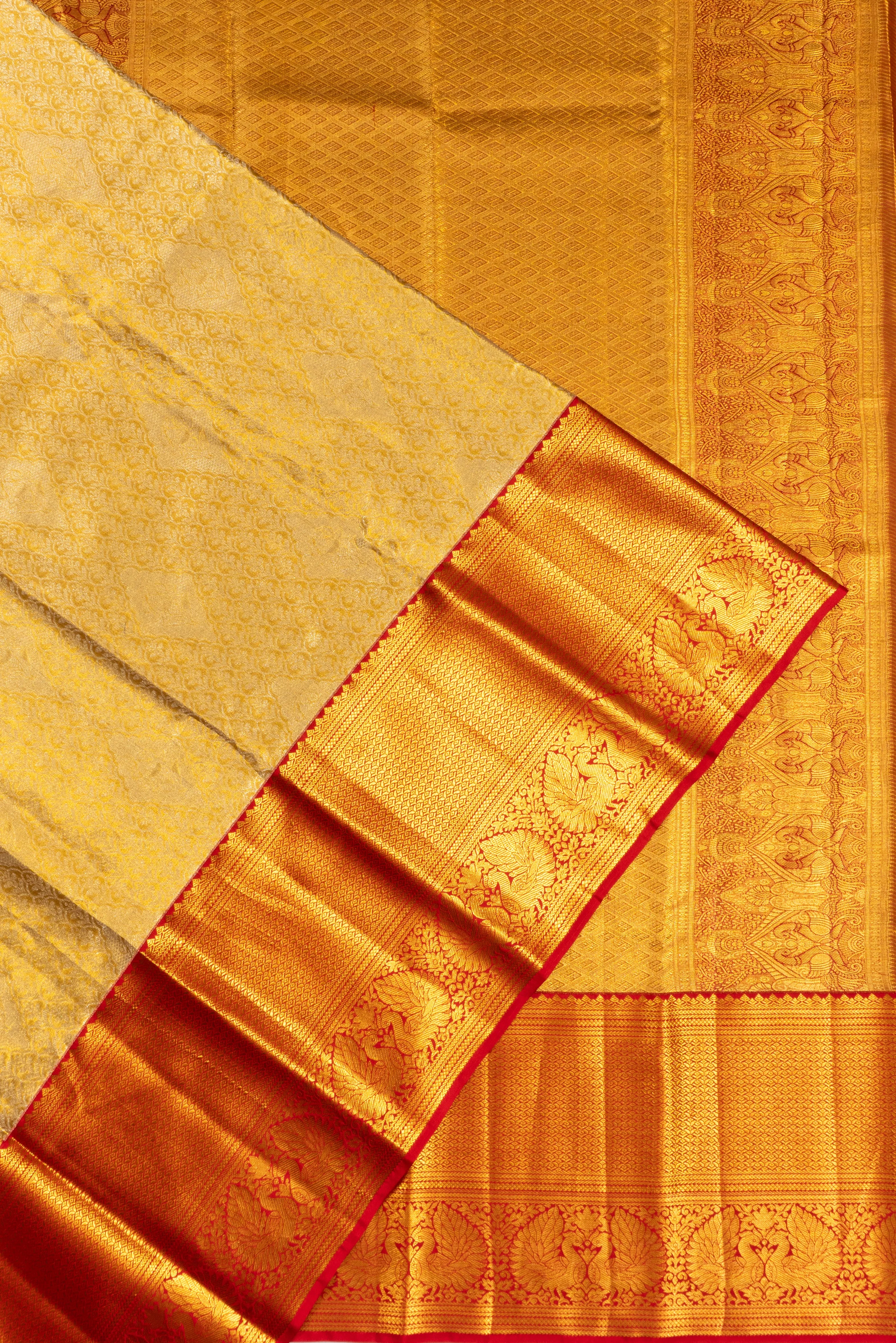 Taranga Kanchi Silk Tissue Brocade Gold Saree