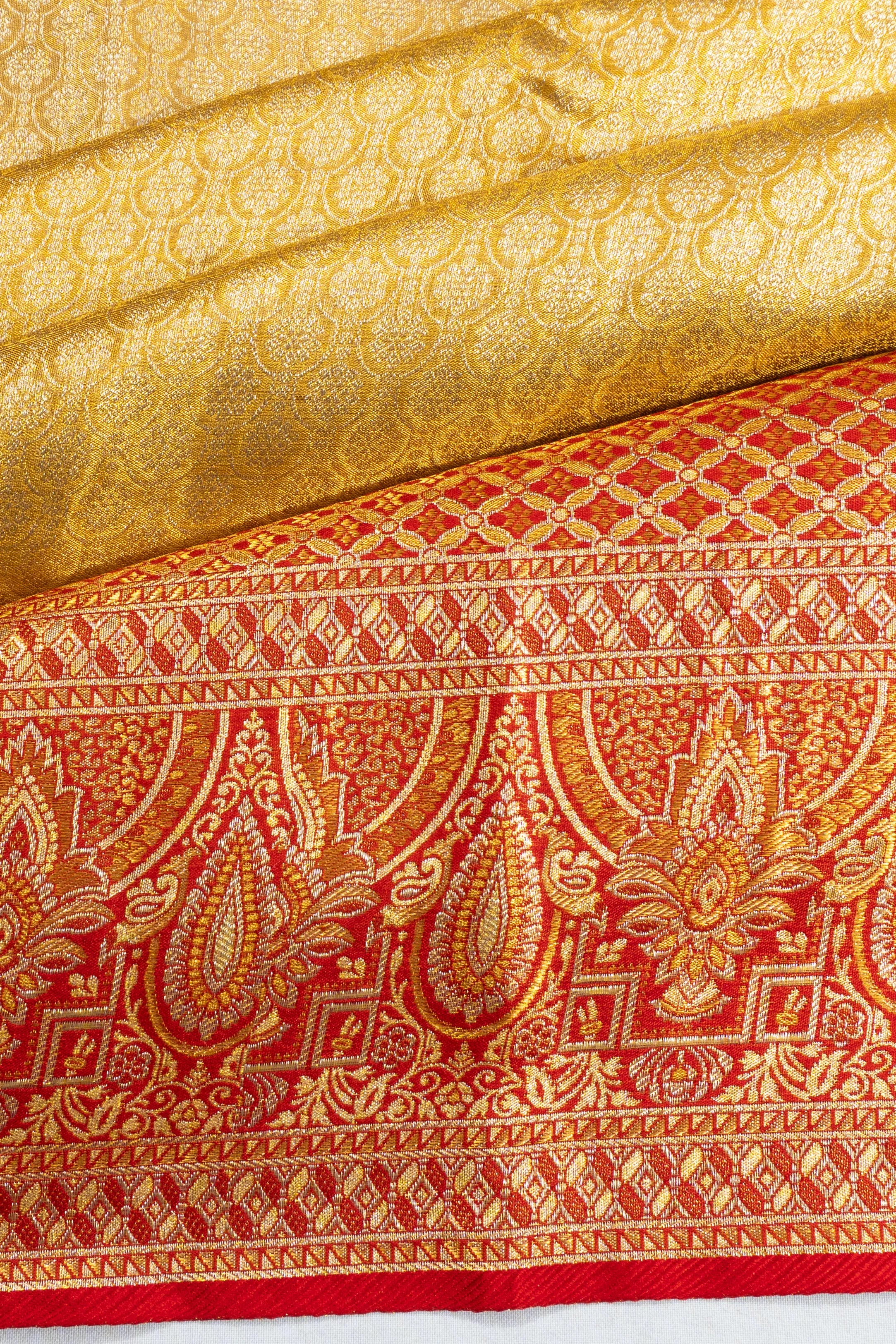 Taranga Kanchi Silk Tissue Brocade Gold Saree