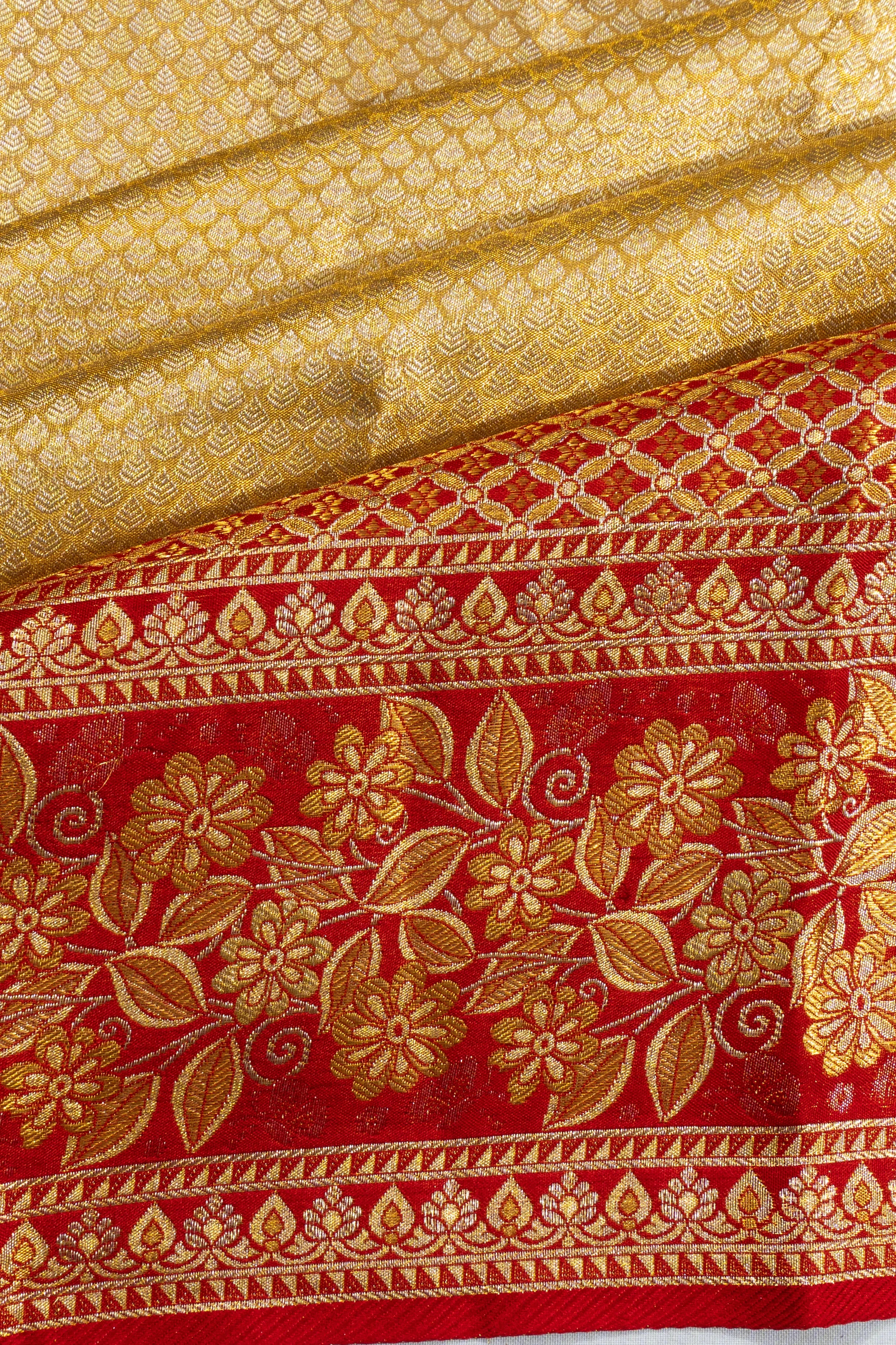 Taranga Kanchi Silk Tissue Brocade Gold Saree