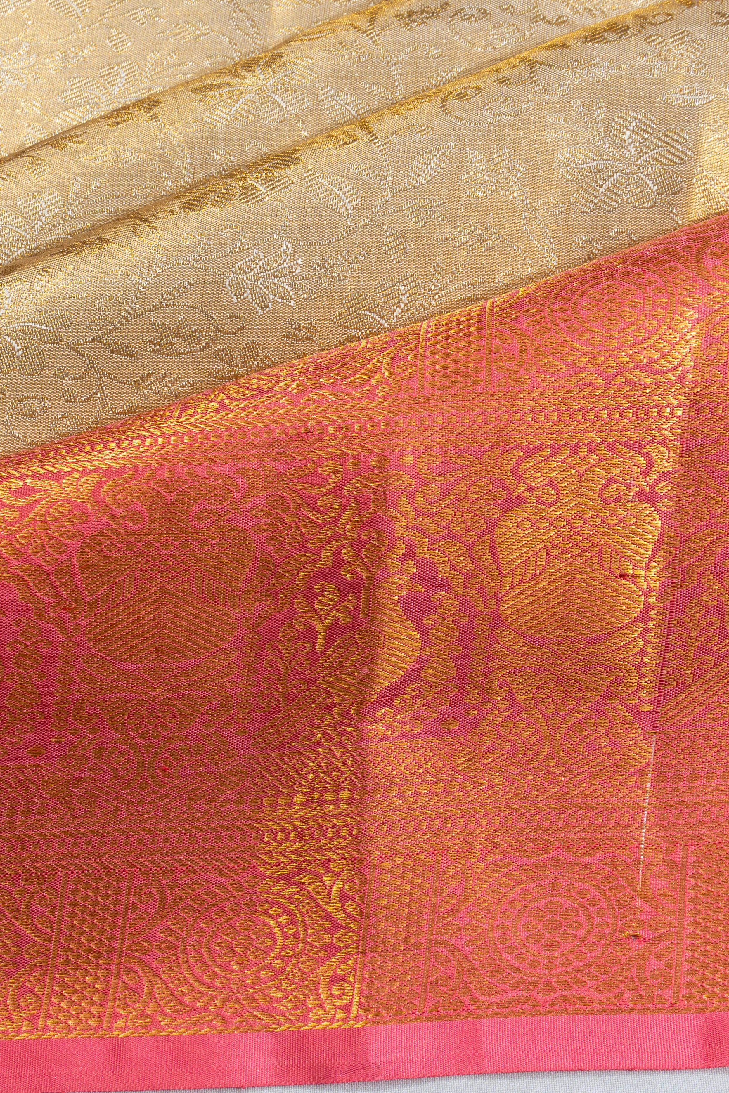 Taranga Kanchi Silk Tissue Brocade Gold Saree