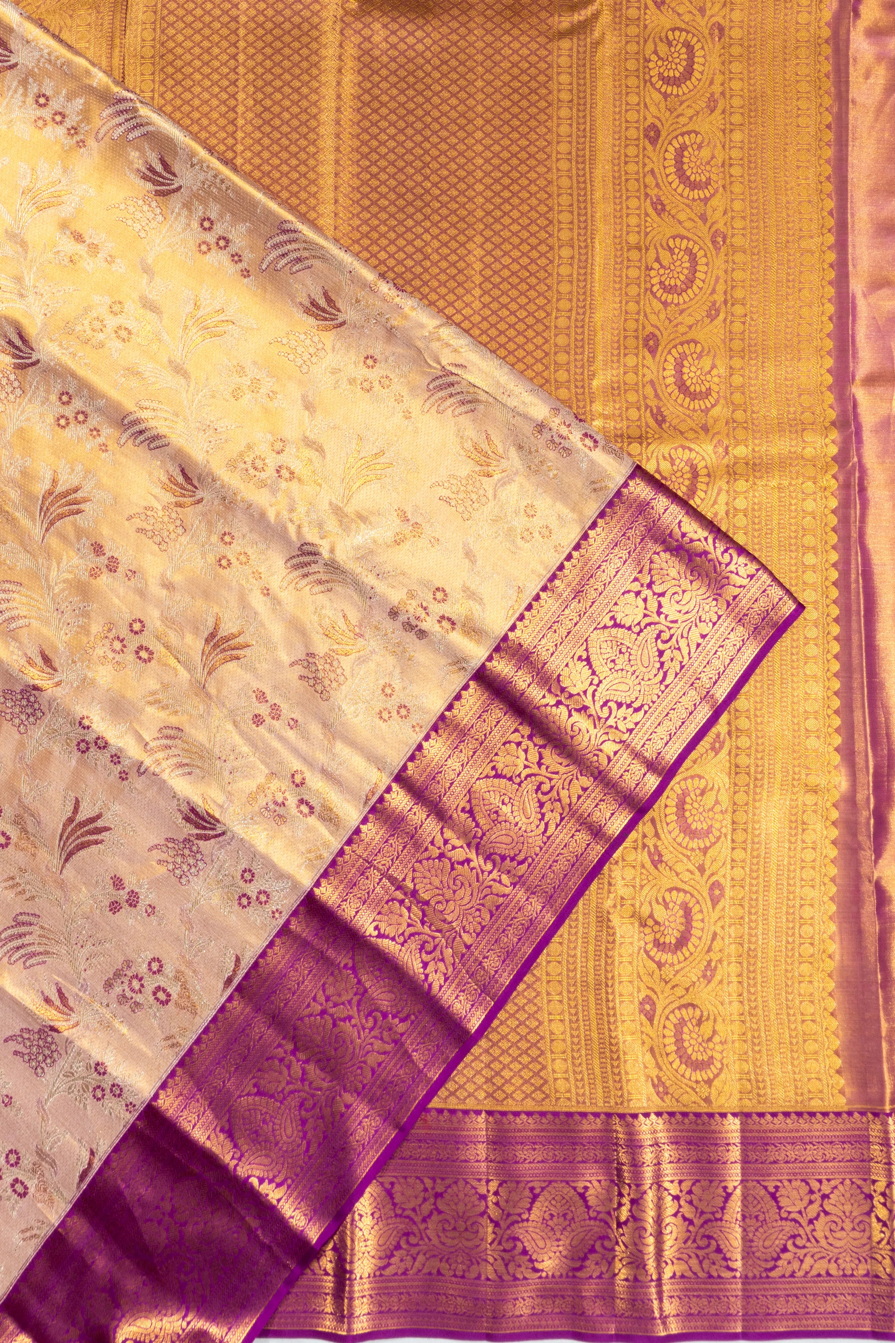 Taranga Kanchi Silk Tissue Brocade Gold Saree