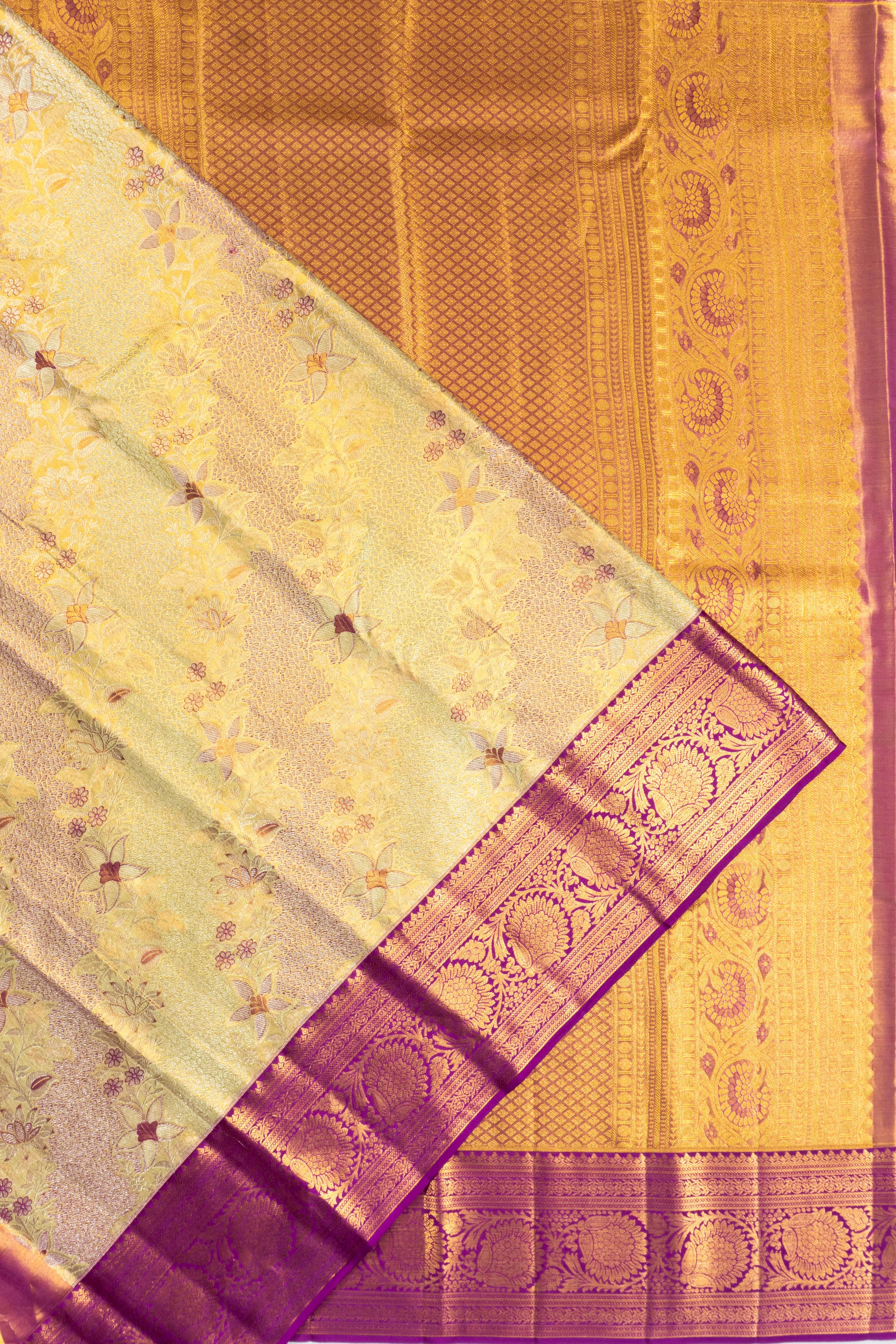 Taranga Kanchi Silk Tissue Brocade Gold Saree