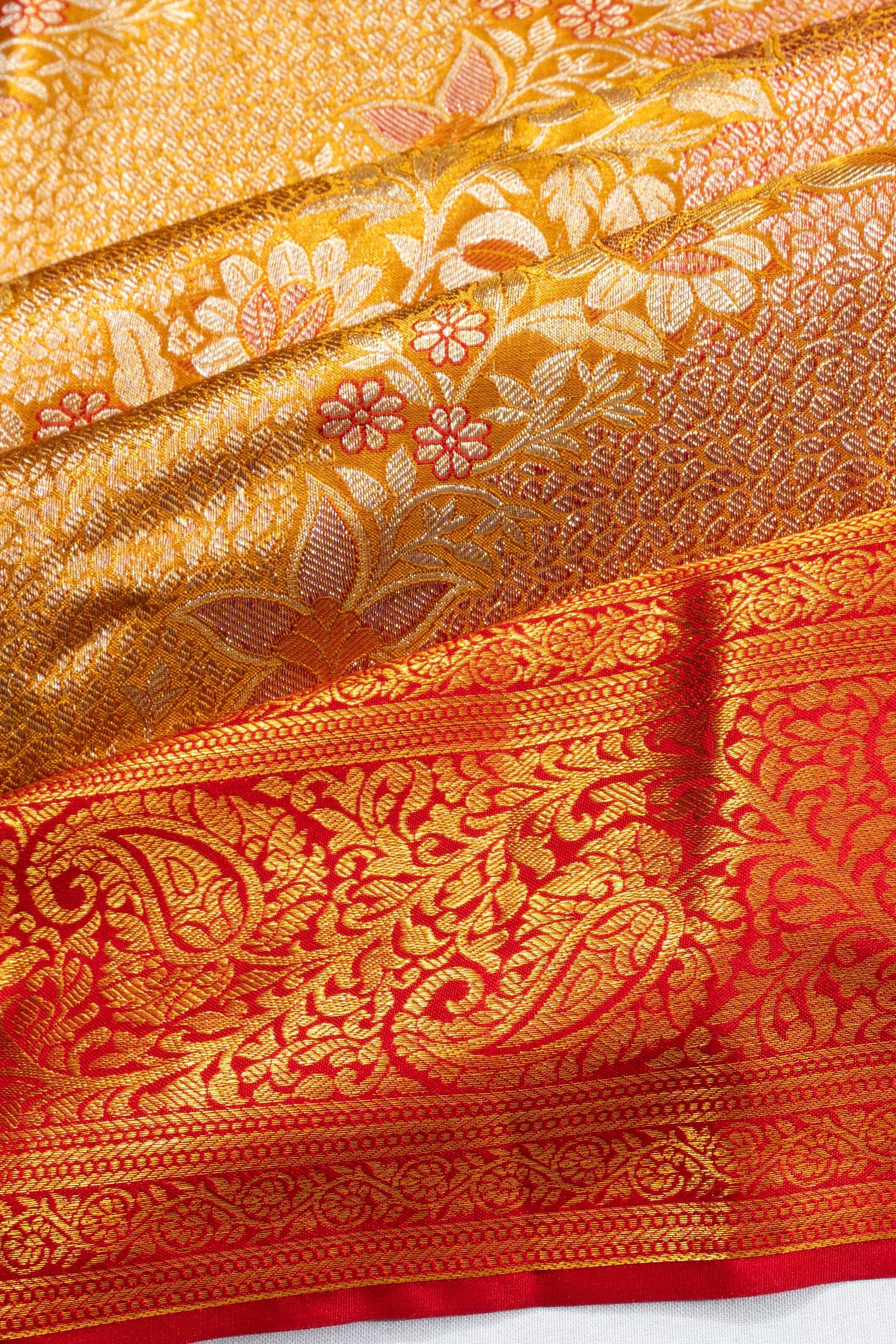 Taranga Kanchi Silk Tissue Brocade Gold Saree