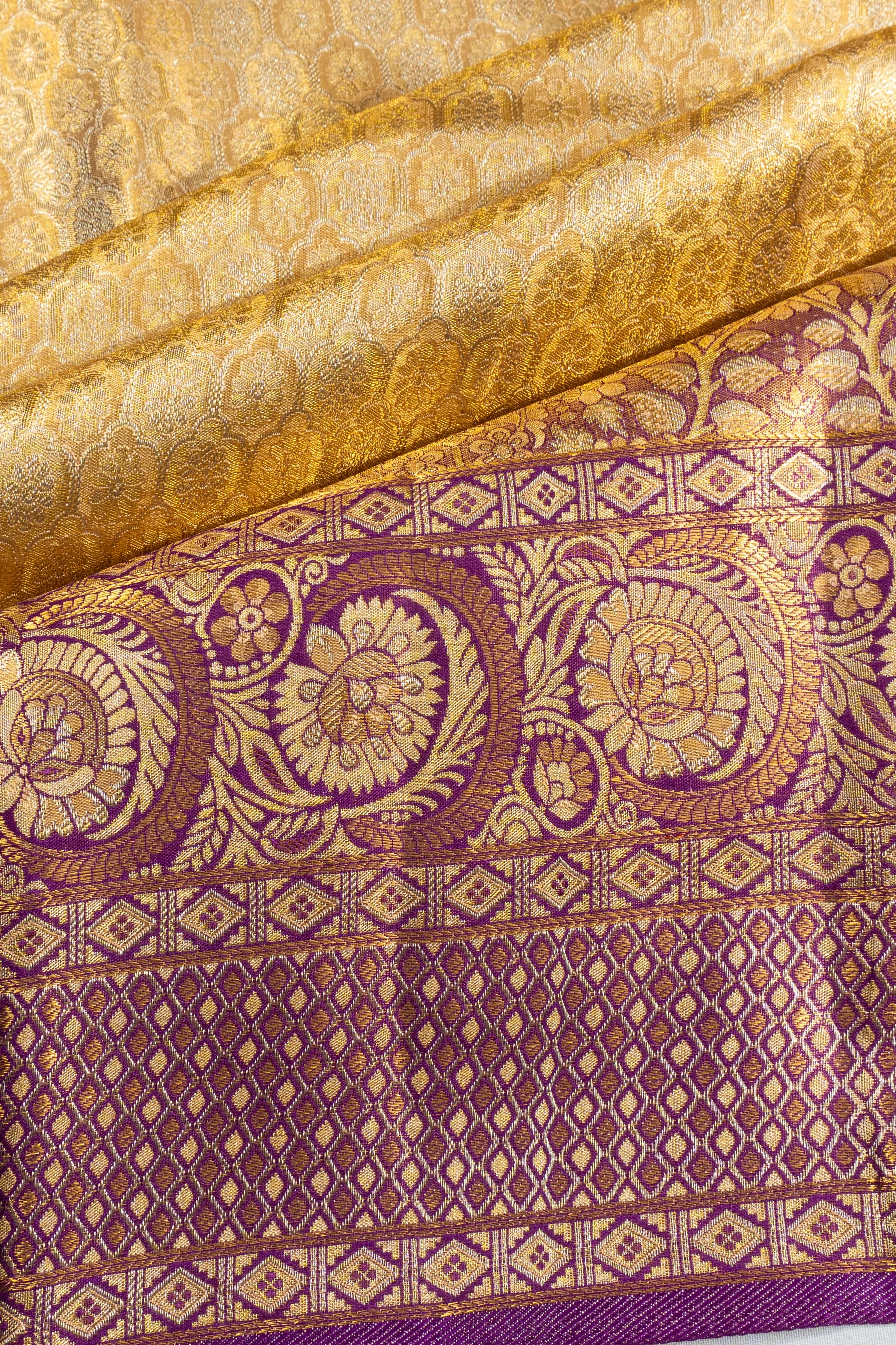 Taranga Kanchi Silk Tissue Brocade Gold Saree