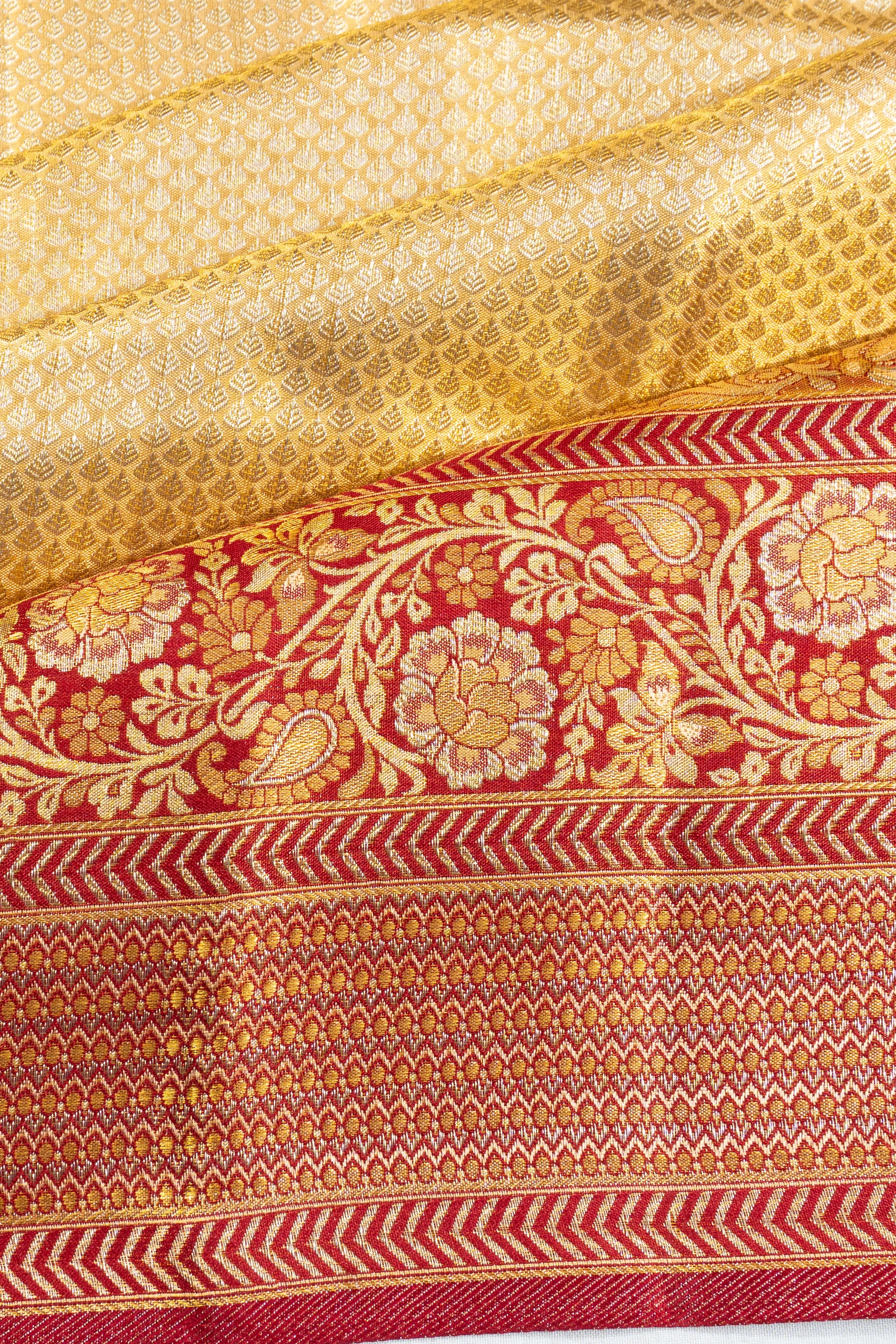 Taranga Kanchi Silk Tissue Brocade Gold Saree
