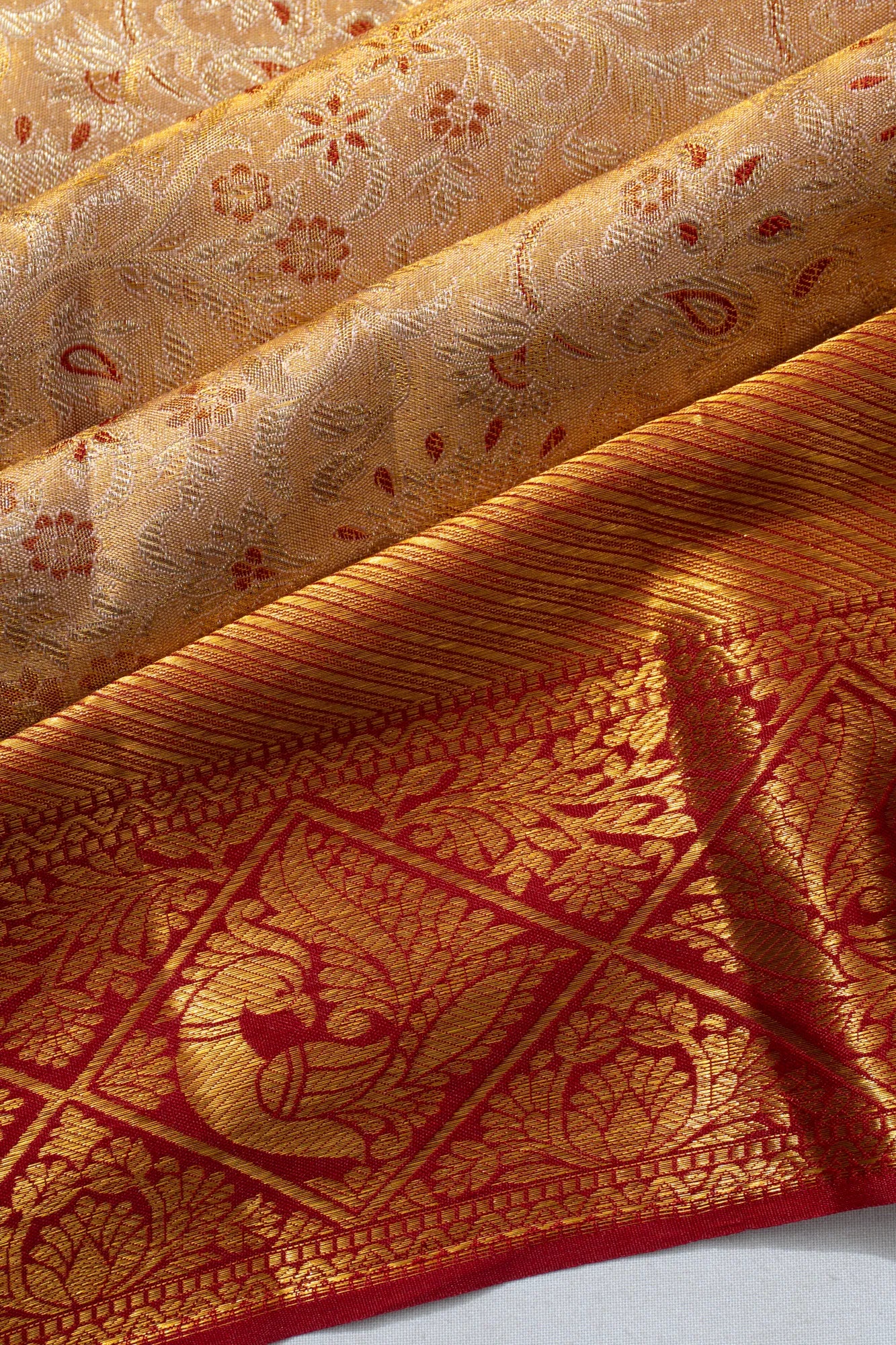 Taranga Kanchi Silk Tissue Brocade Gold Saree