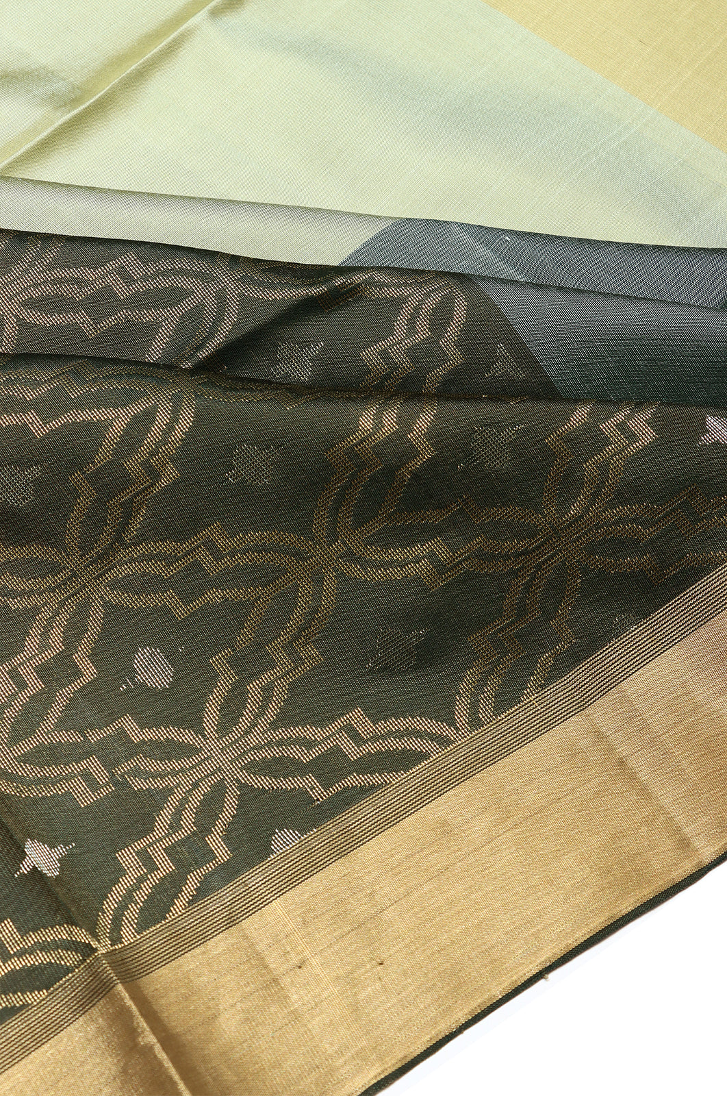 Coimbatore Silk Brocade Multicolour Saree