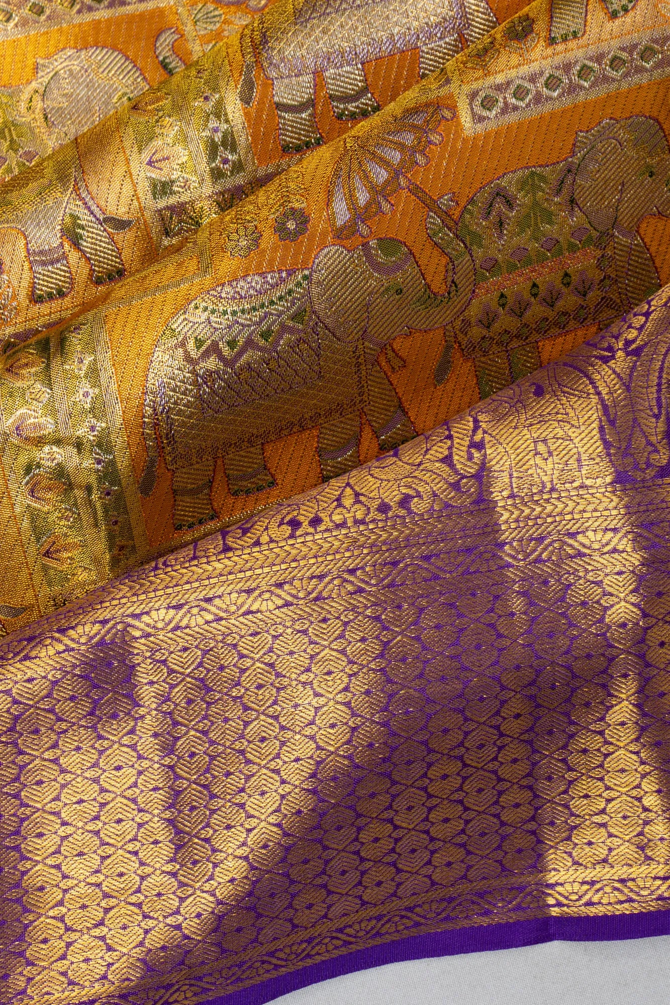 Taranga Kanchi Silk Tissue Brocade Gold Saree