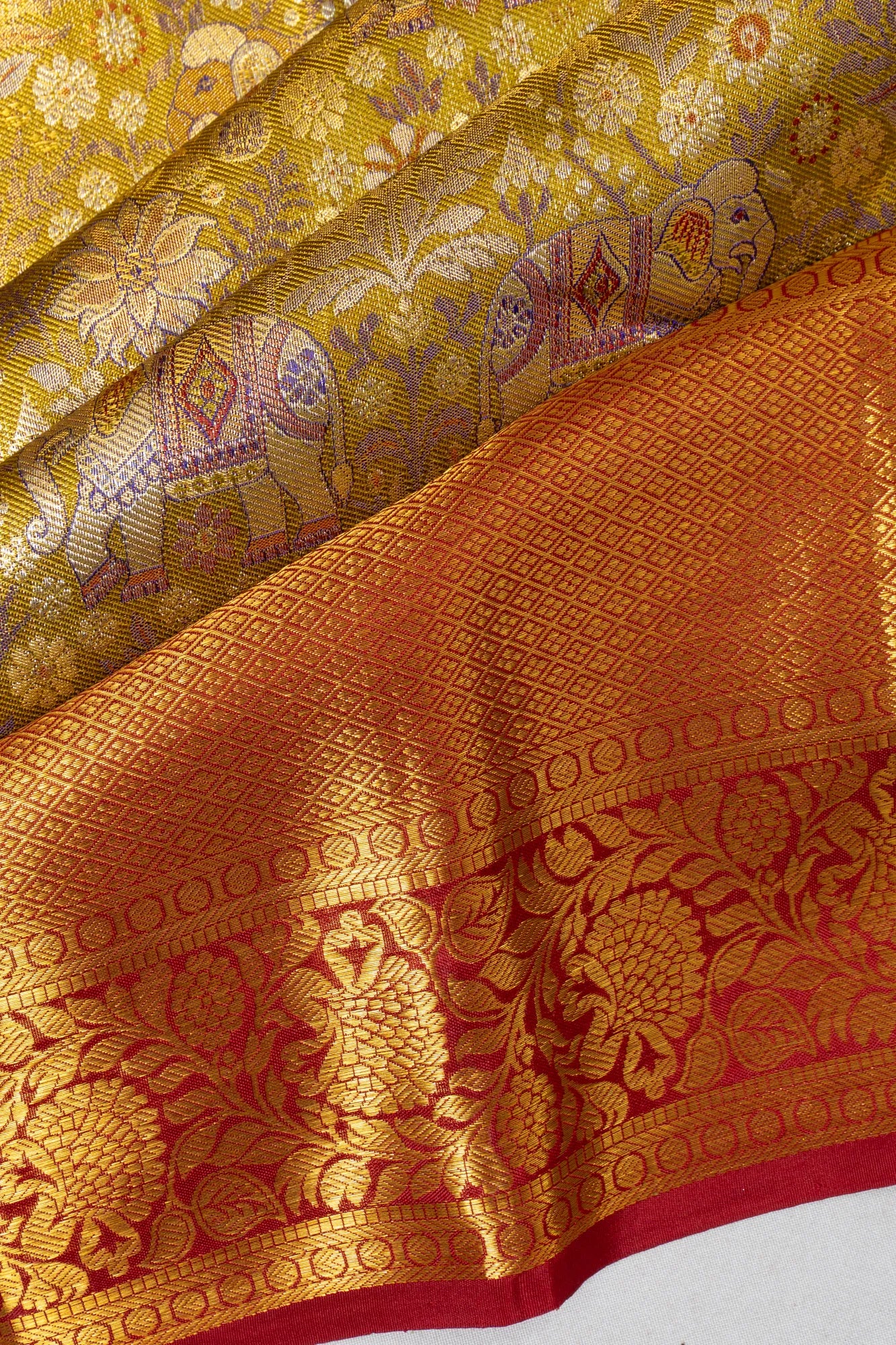 Taranga Kanchi Silk Tissue Brocade Gold Saree