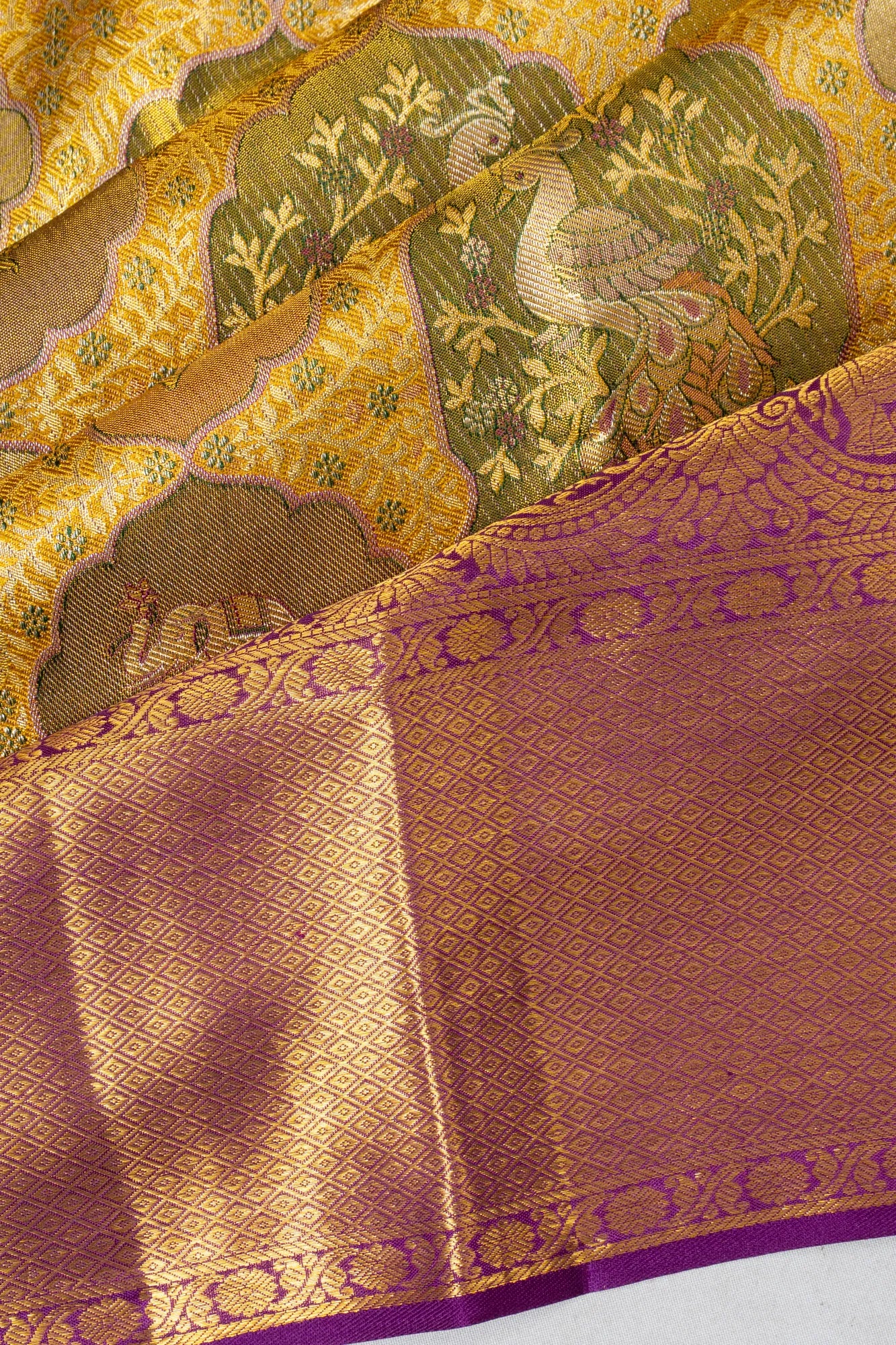 Taranga Kanchi Silk Tissue Brocade Gold Saree