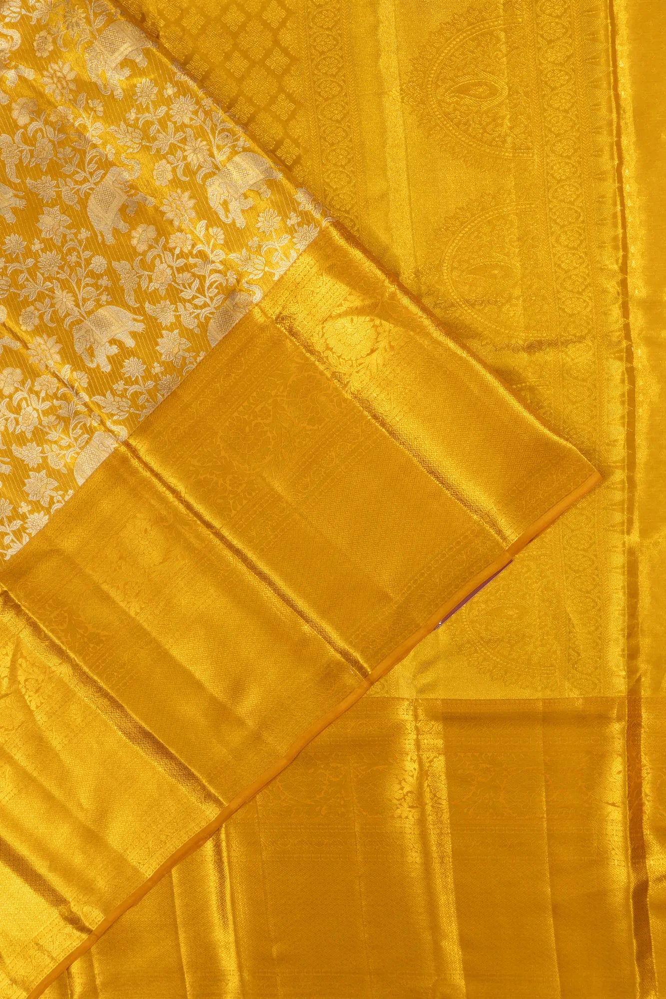 Taranga Kanchi Silk Tissue Brocade Gold Saree