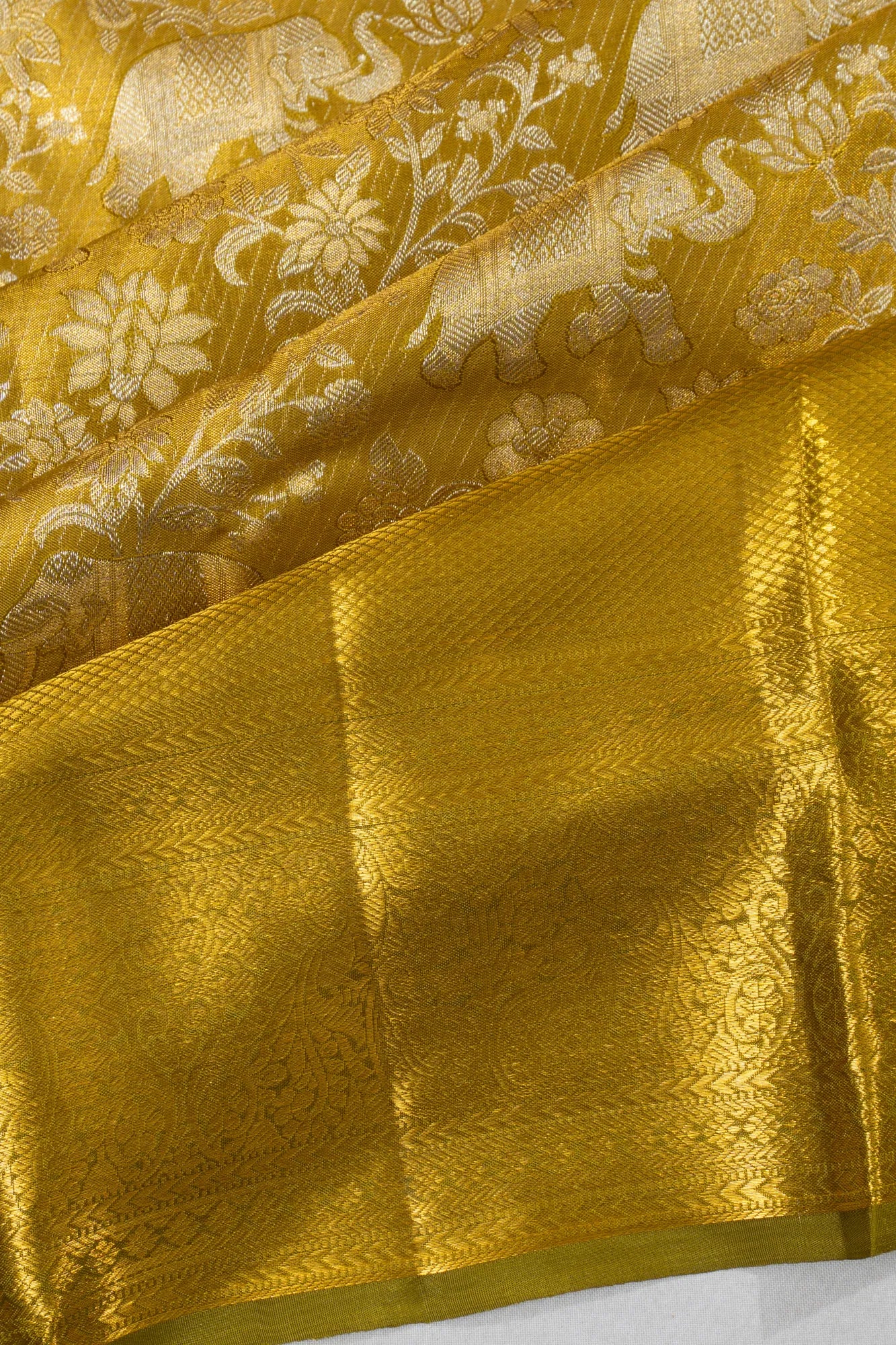 Taranga Kanchi Silk Tissue Brocade Gold Saree