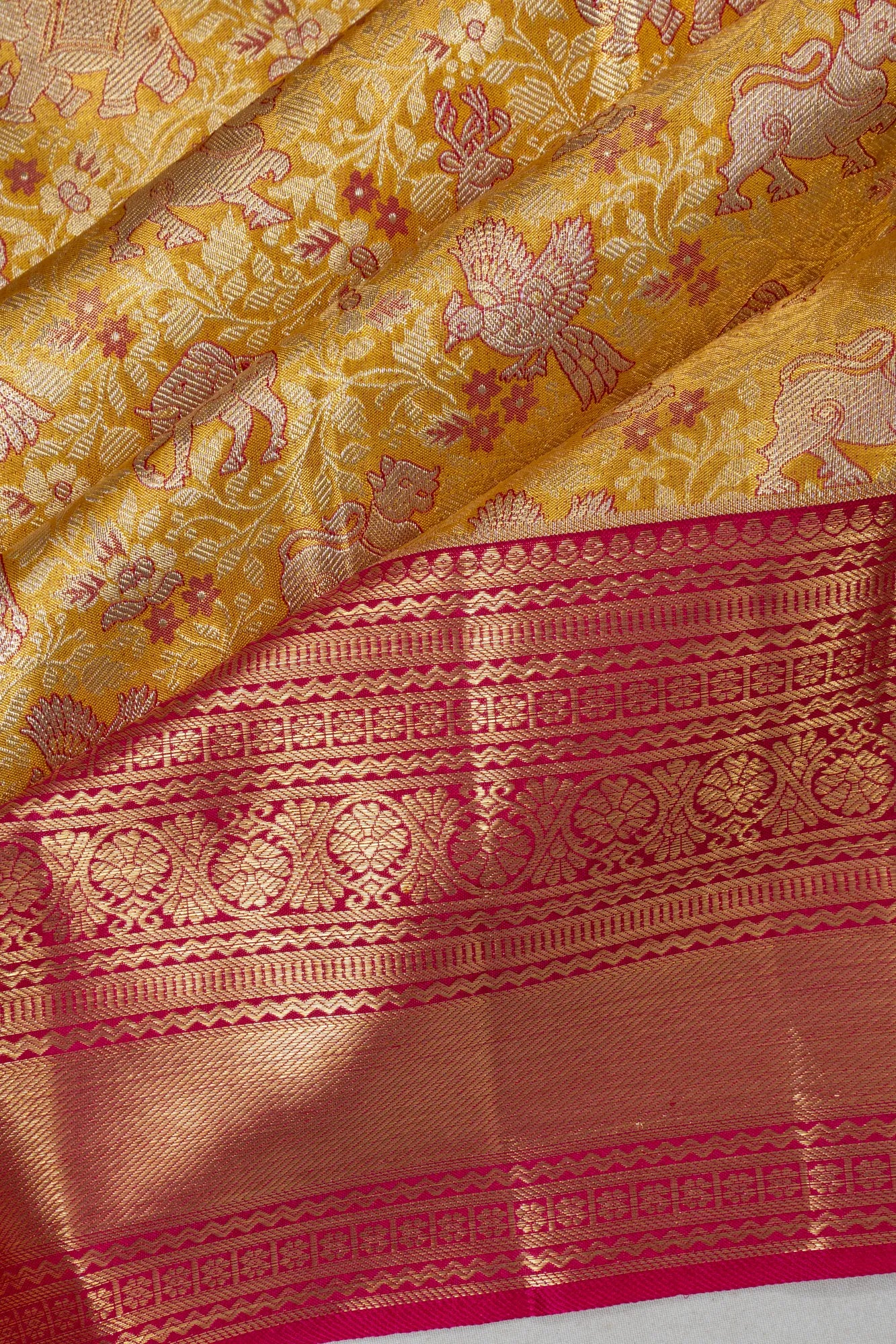 Taranga Kanchi Silk Tissue Brocade Gold Saree
