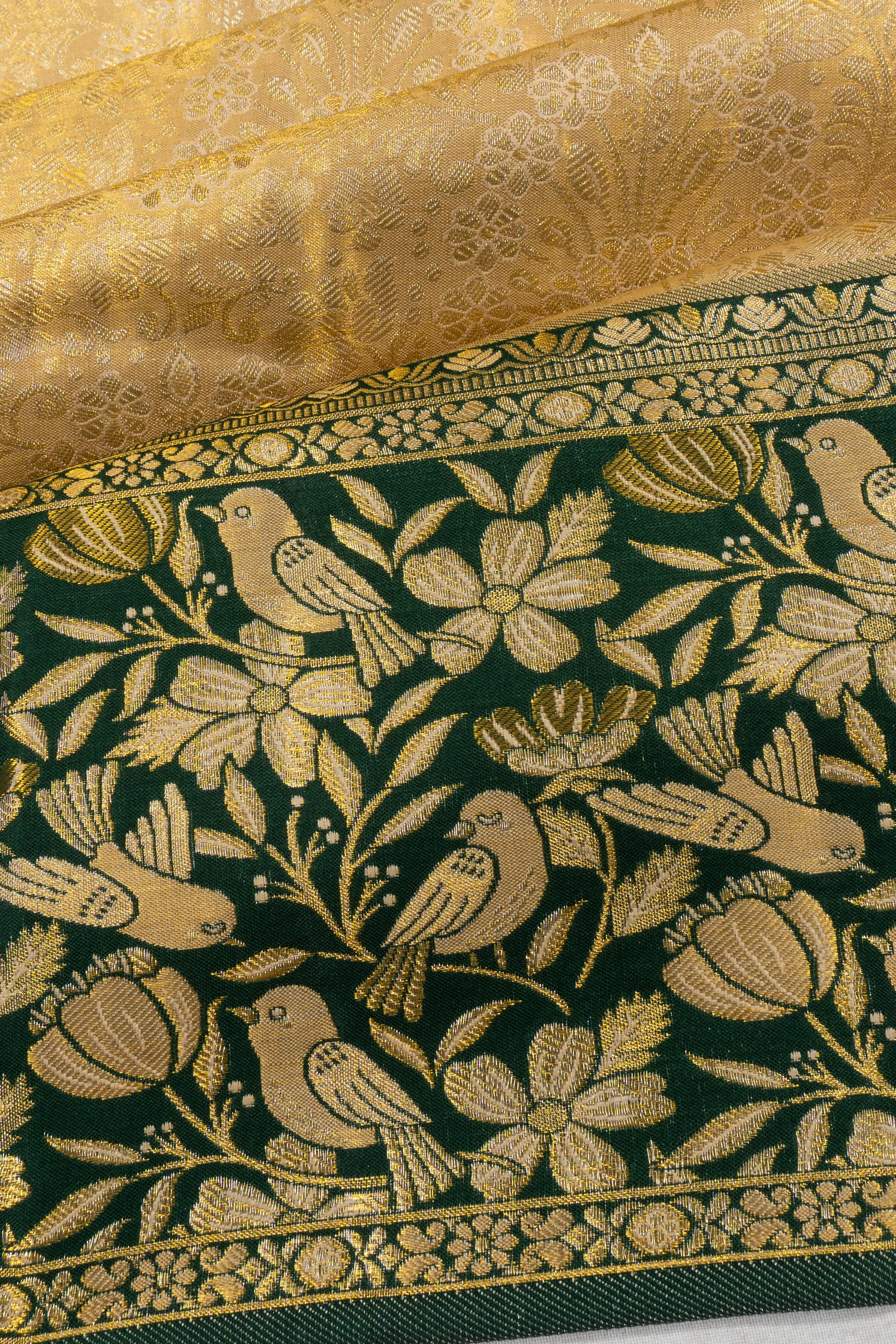 Taranga Kanchi Silk Tissue Brocade Gold Saree