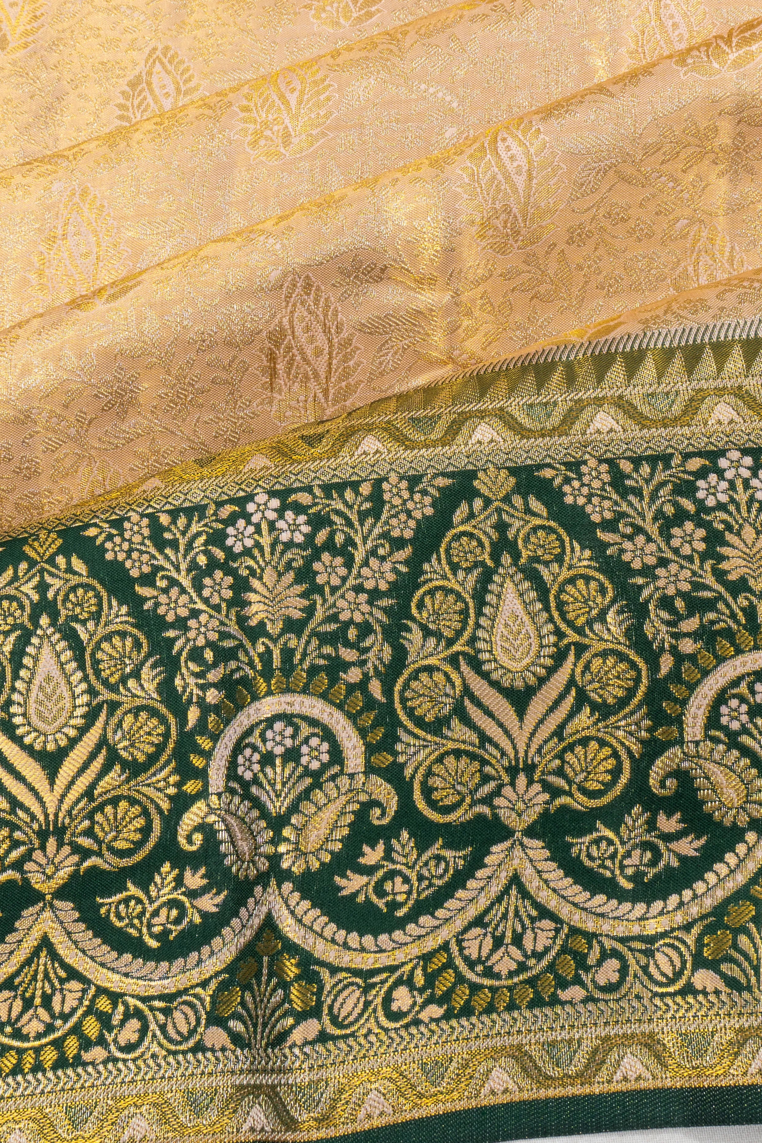 Taranga Kanchi Silk Tissue Brocade Gold Saree