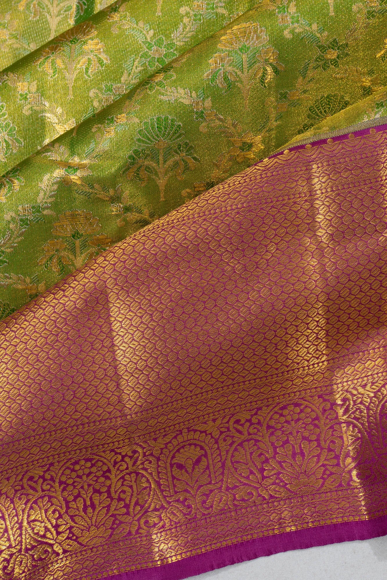 Taranga Kanchi Silk Tissue Jaal Parrot Green Saree