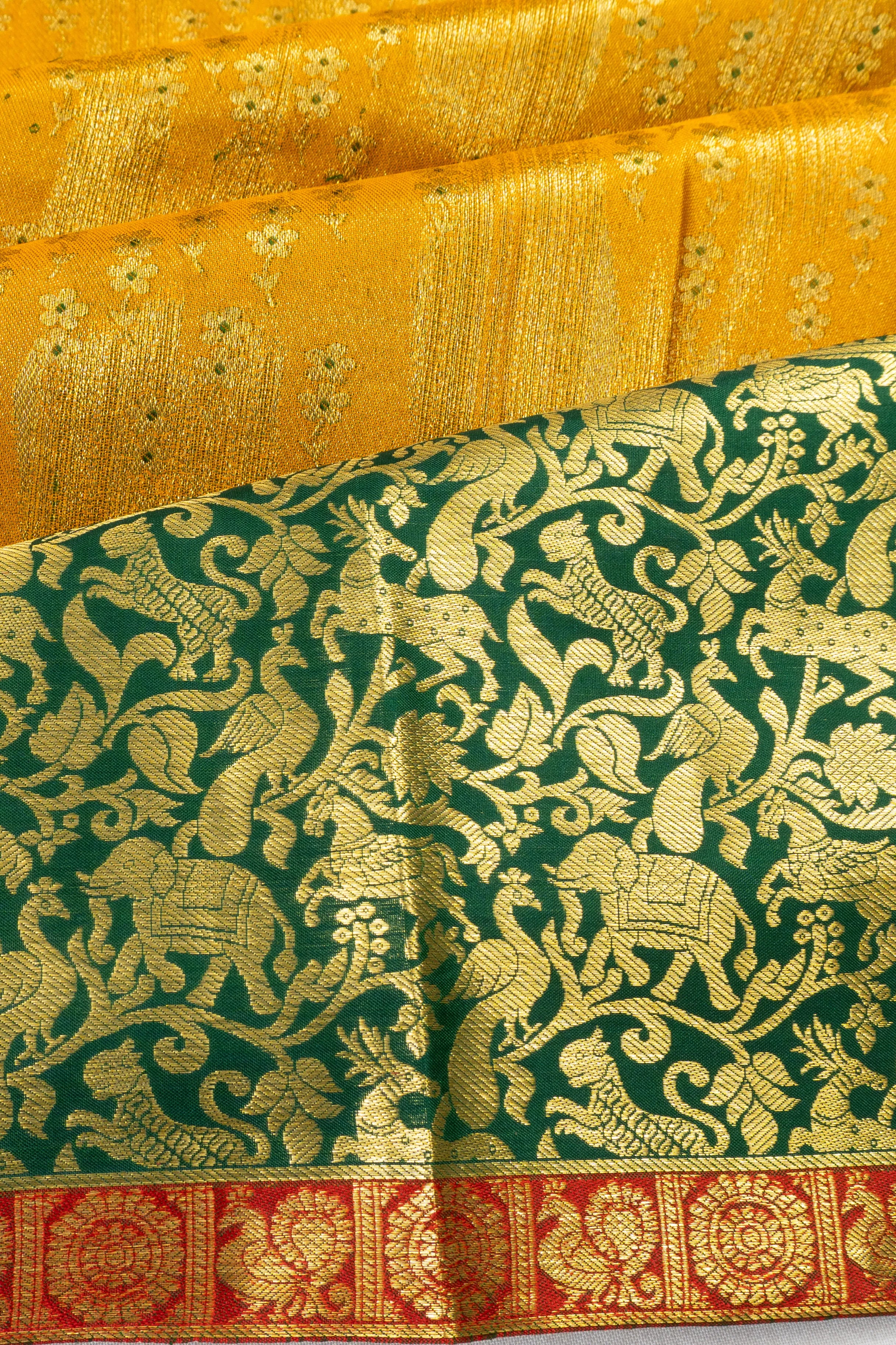 Taranga Kanchi Silk Tissue Brocade Mustard Yellow Saree