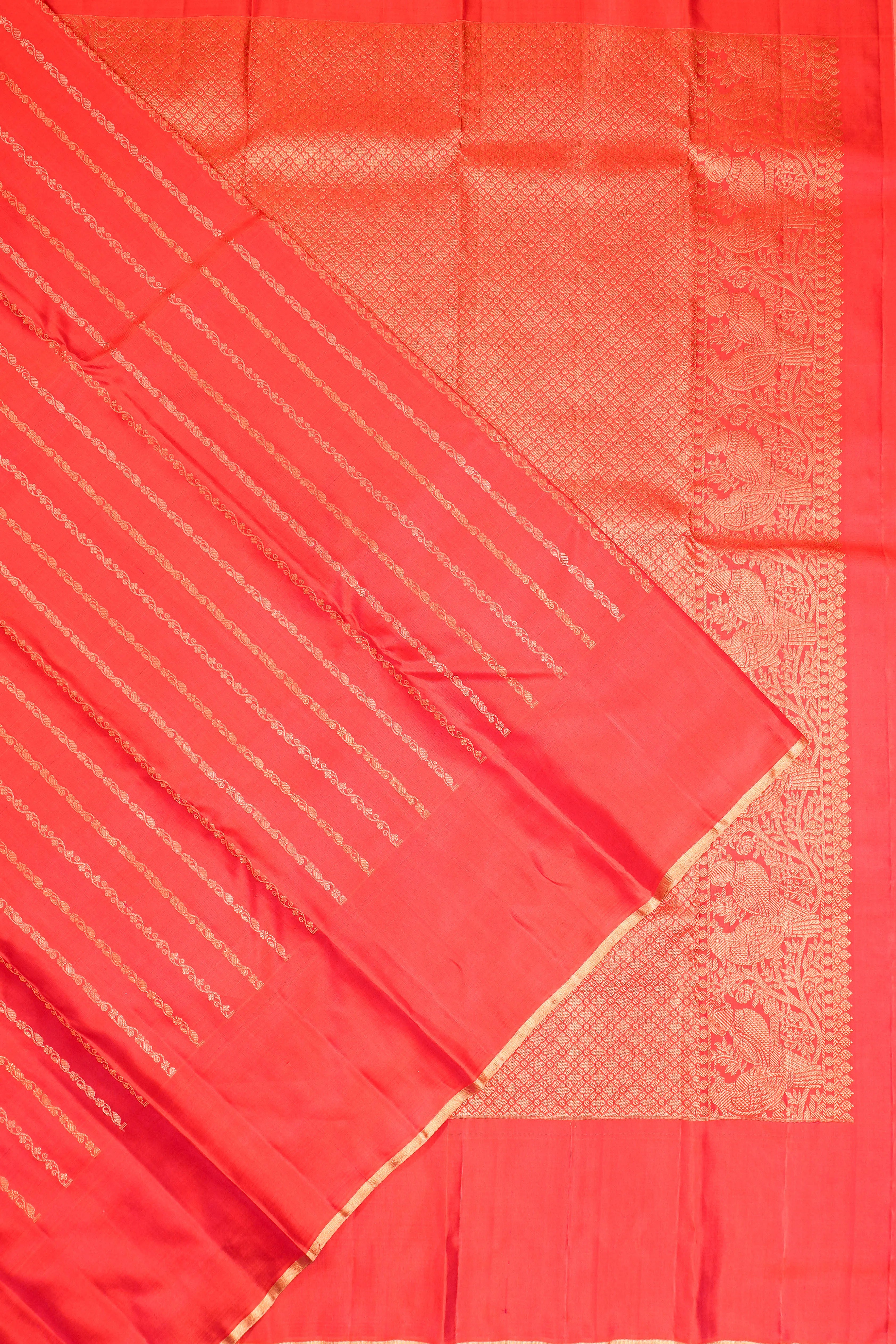 Taranga Kanchi Silk Brocade Red Saree