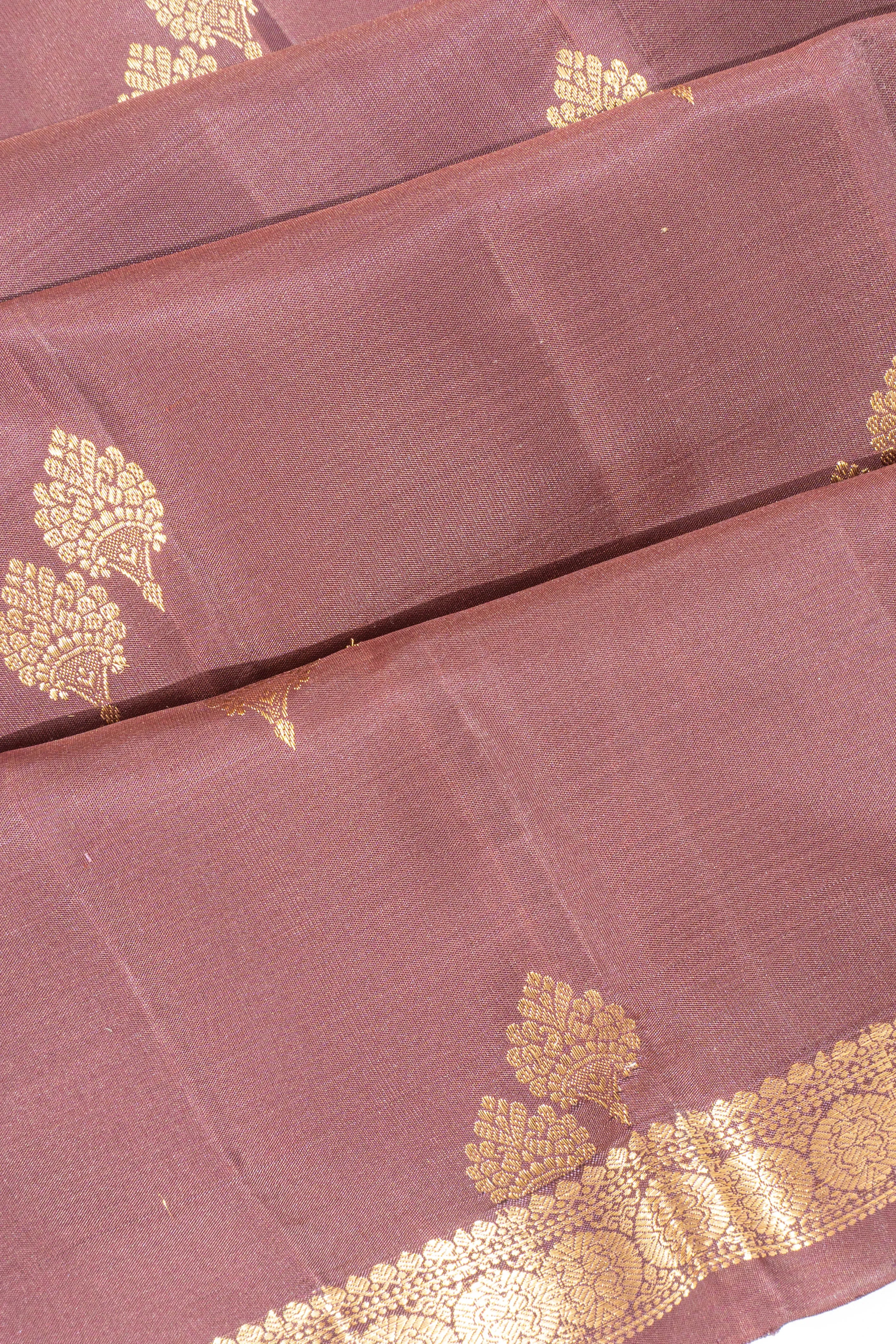 Taranga Kanchi Silk Butta Brown Saree