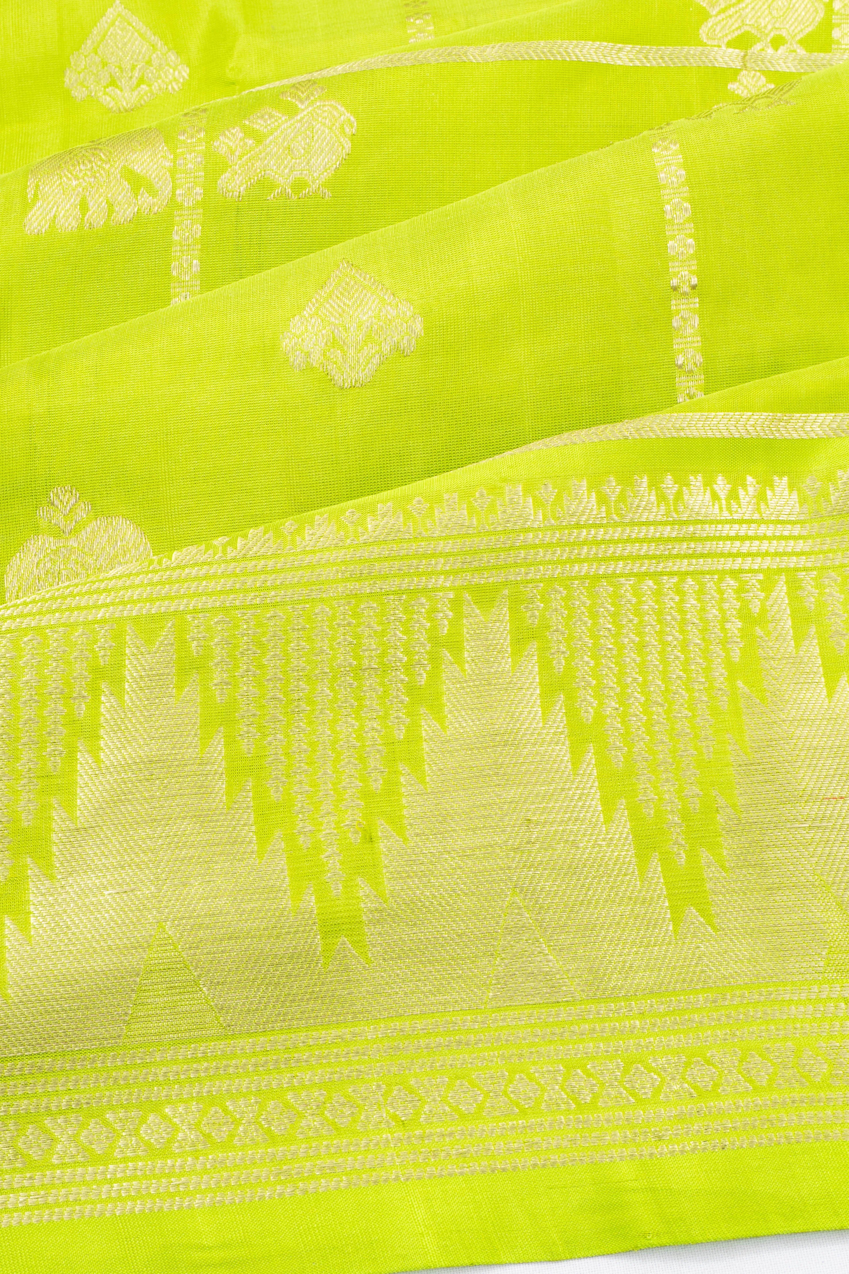 Venkatagiri Silk Checks And Butta Parrot Green Saree