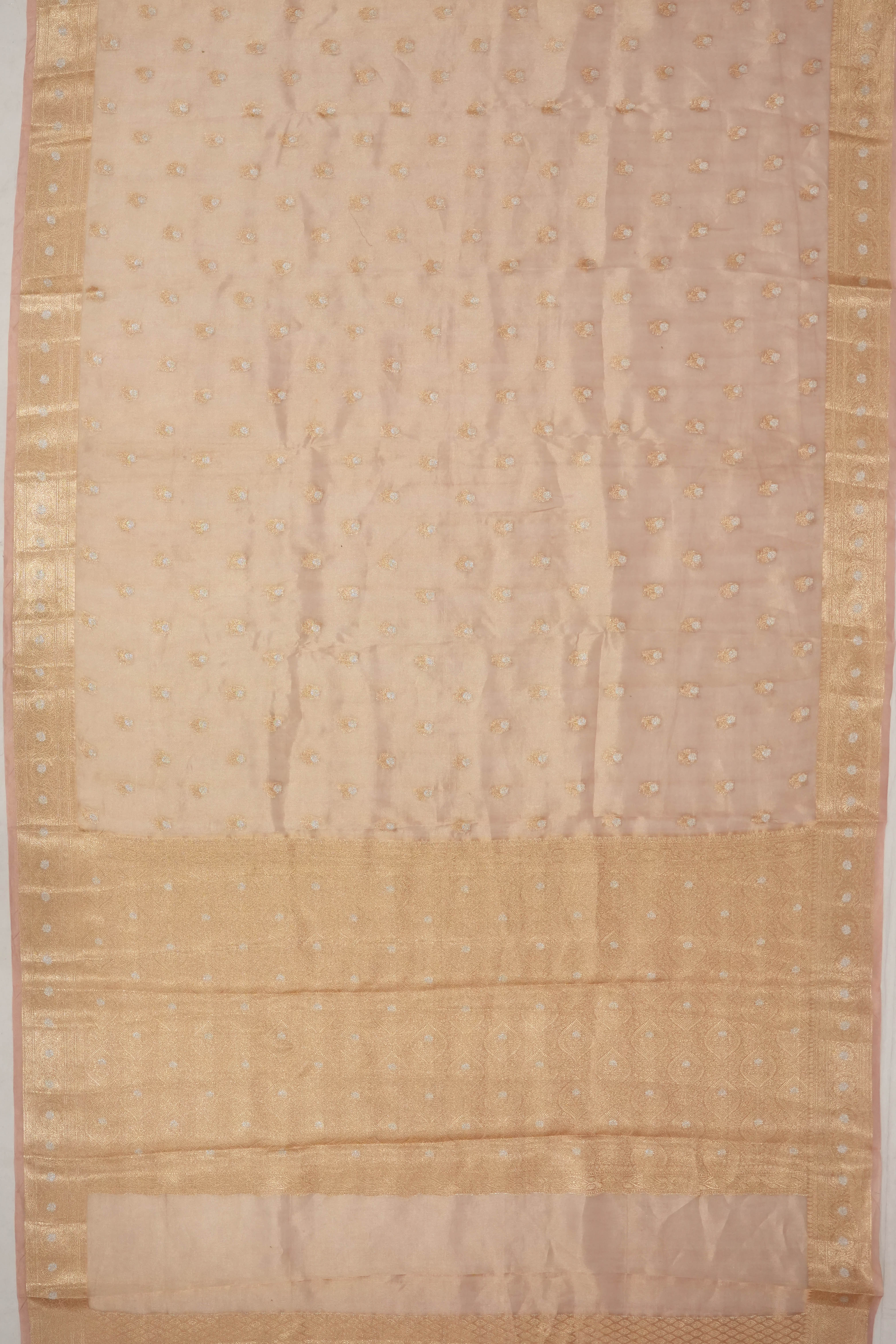 Organza Tissue Brocade Peach Saree